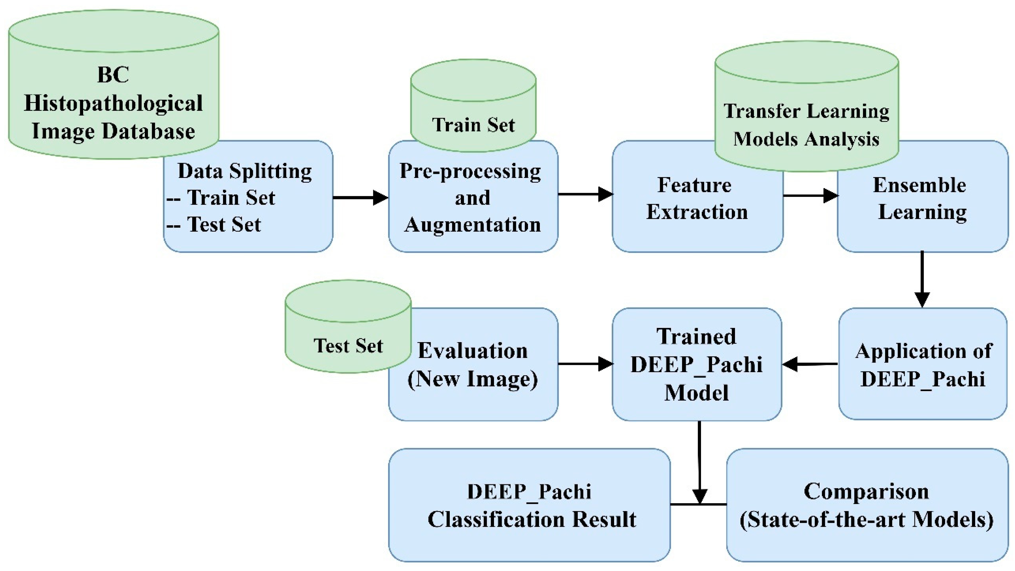 Diagnostics 12 01152 g001