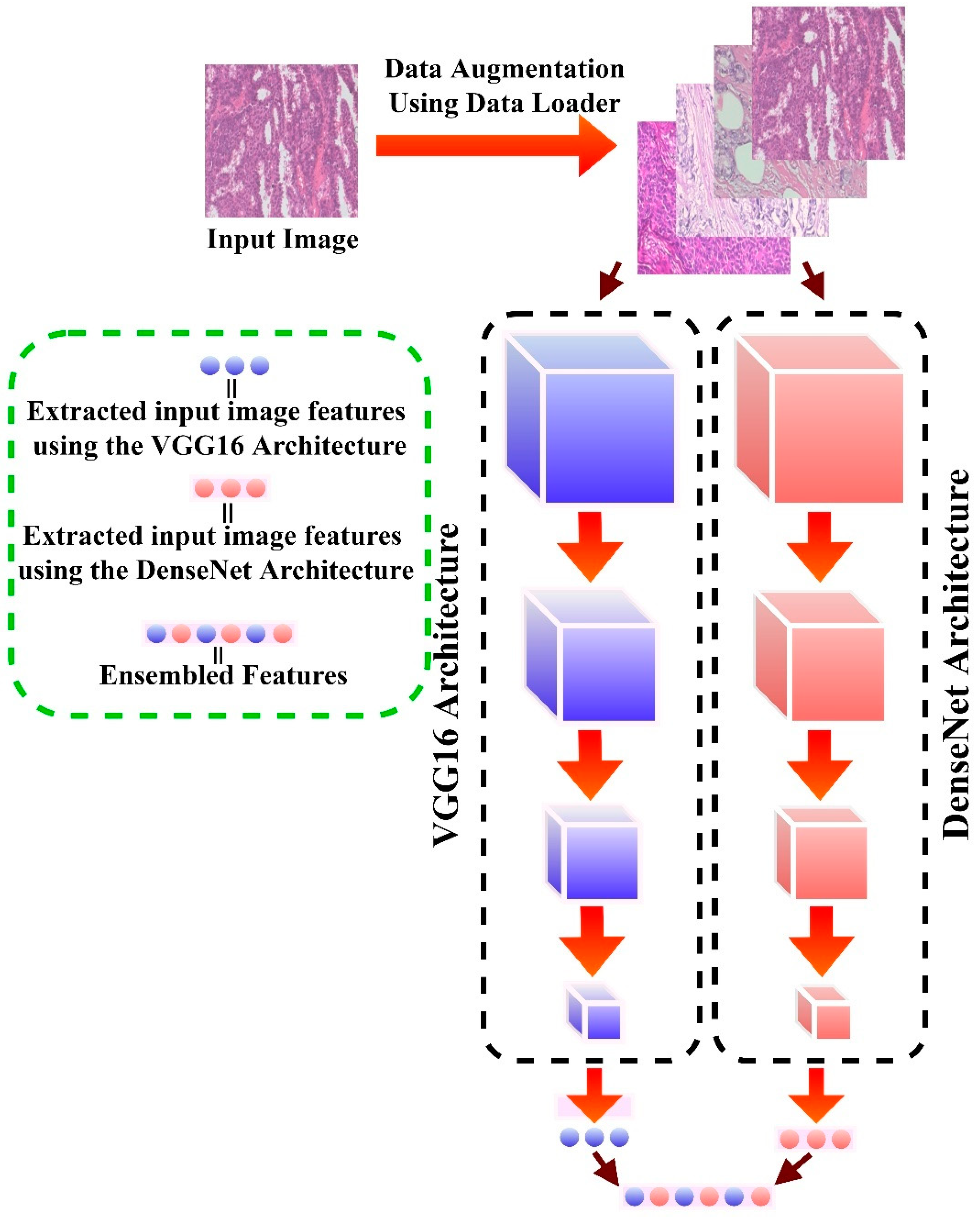 Diagnostics 12 01152 g004