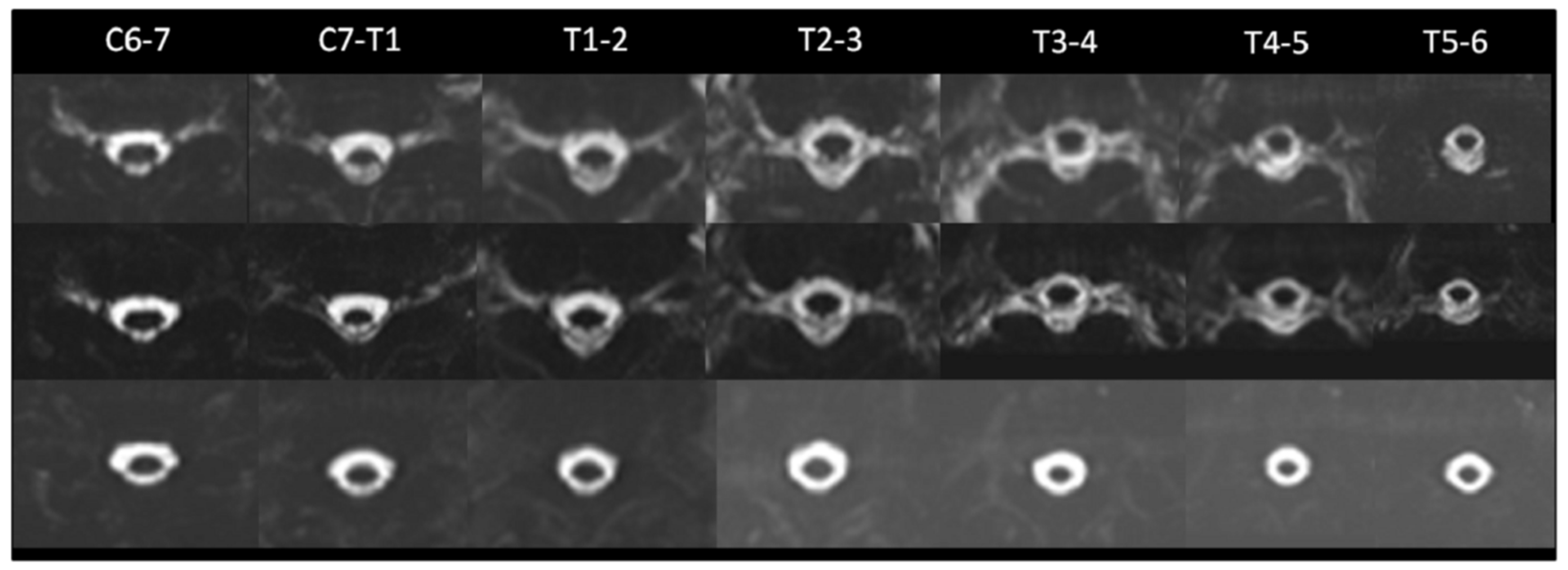 Diagnostics 12 01158 g002