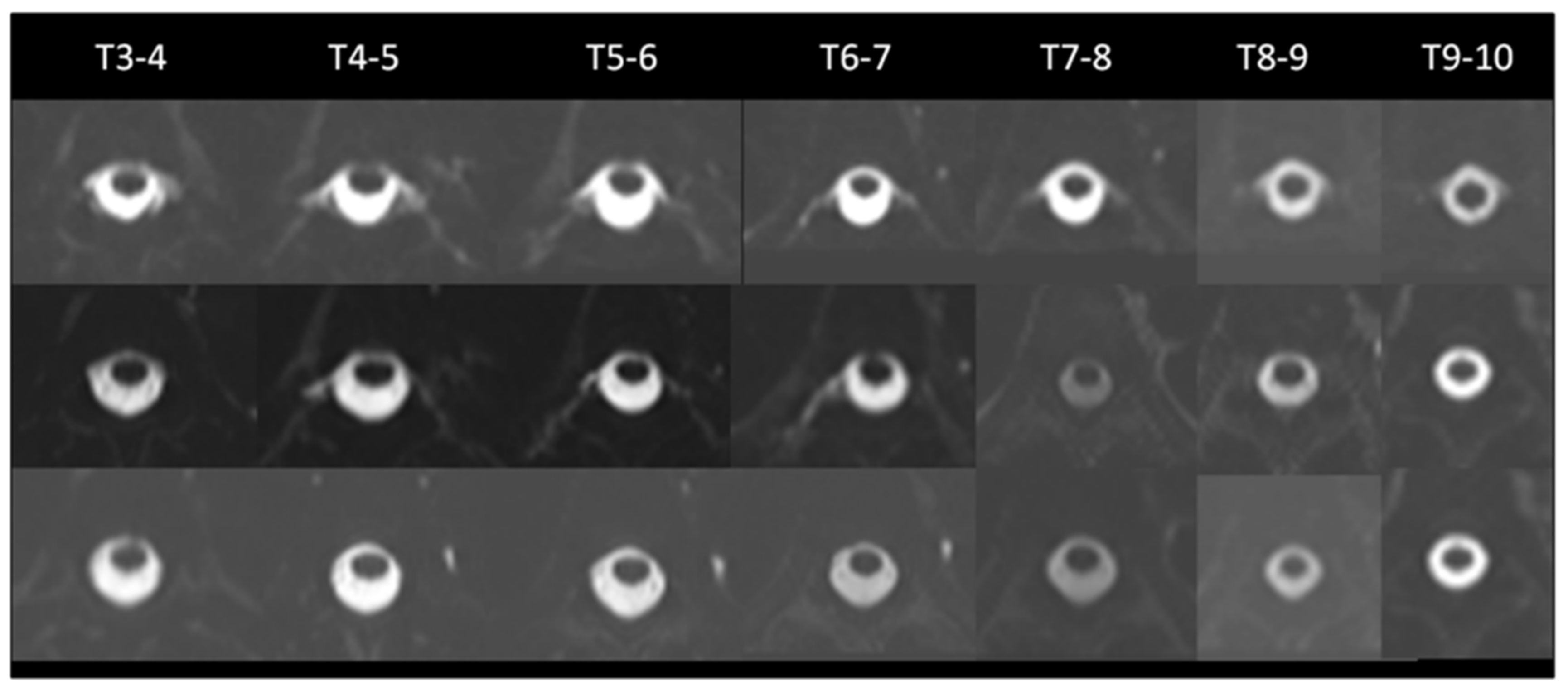 Diagnostics 12 01158 g003