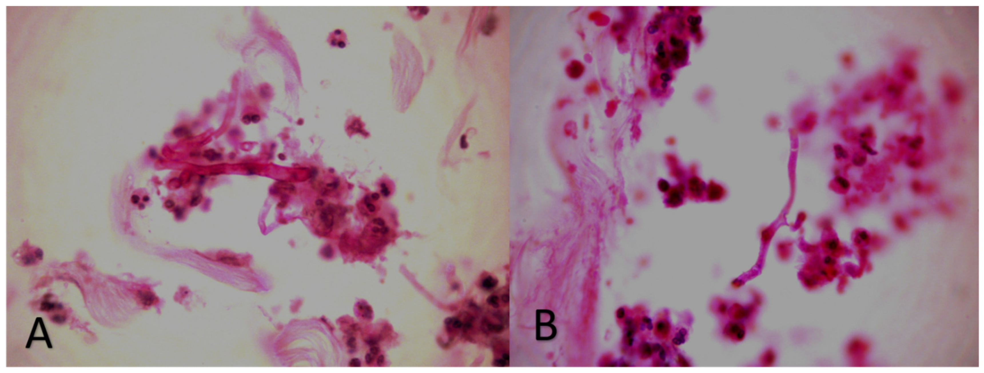 Diagnostics 12 01163 g003