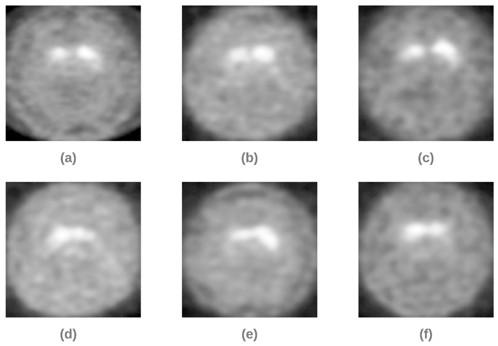 Diagnostics 12 01173 g001