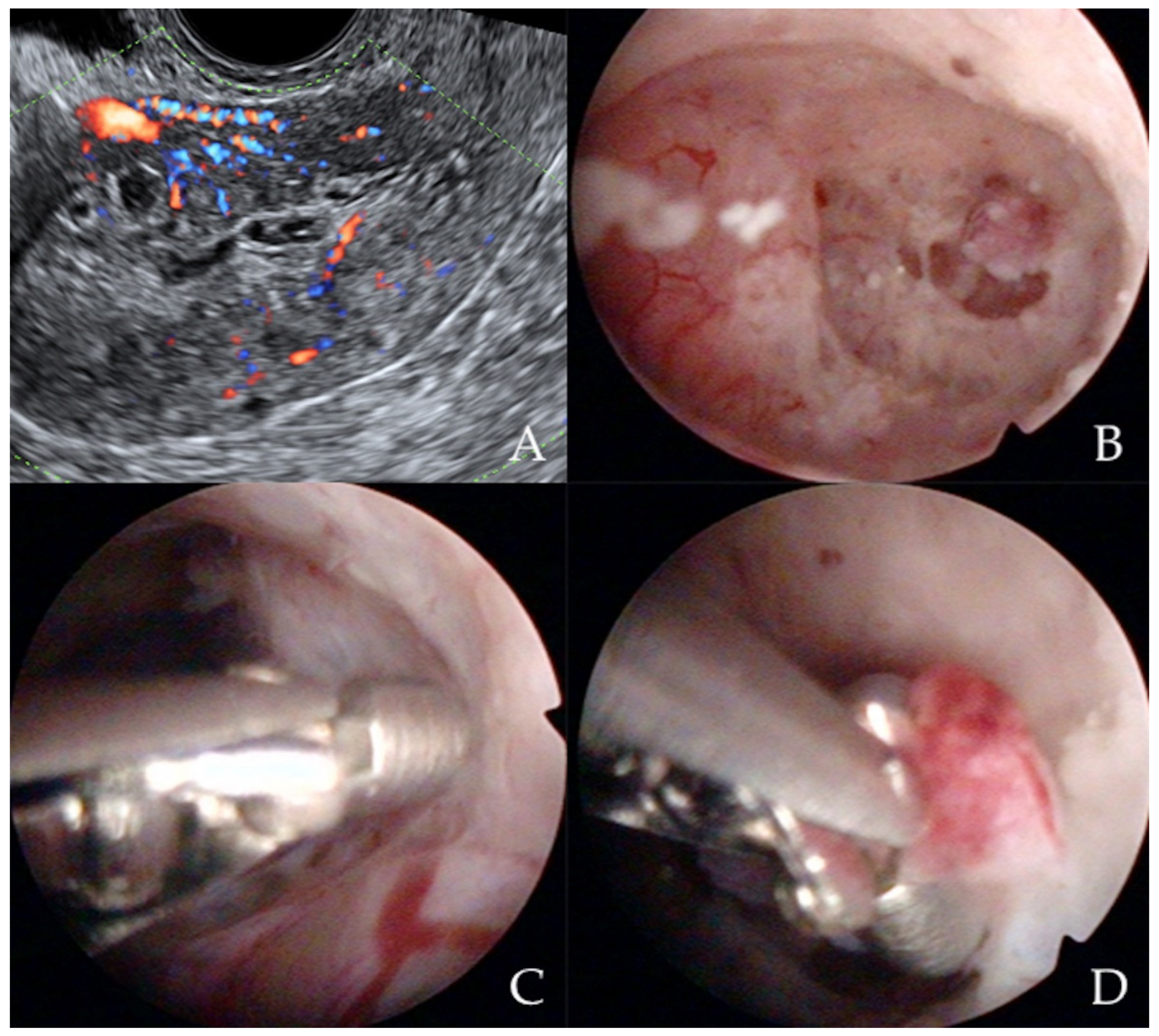 Diagnostics 12 01176 g003