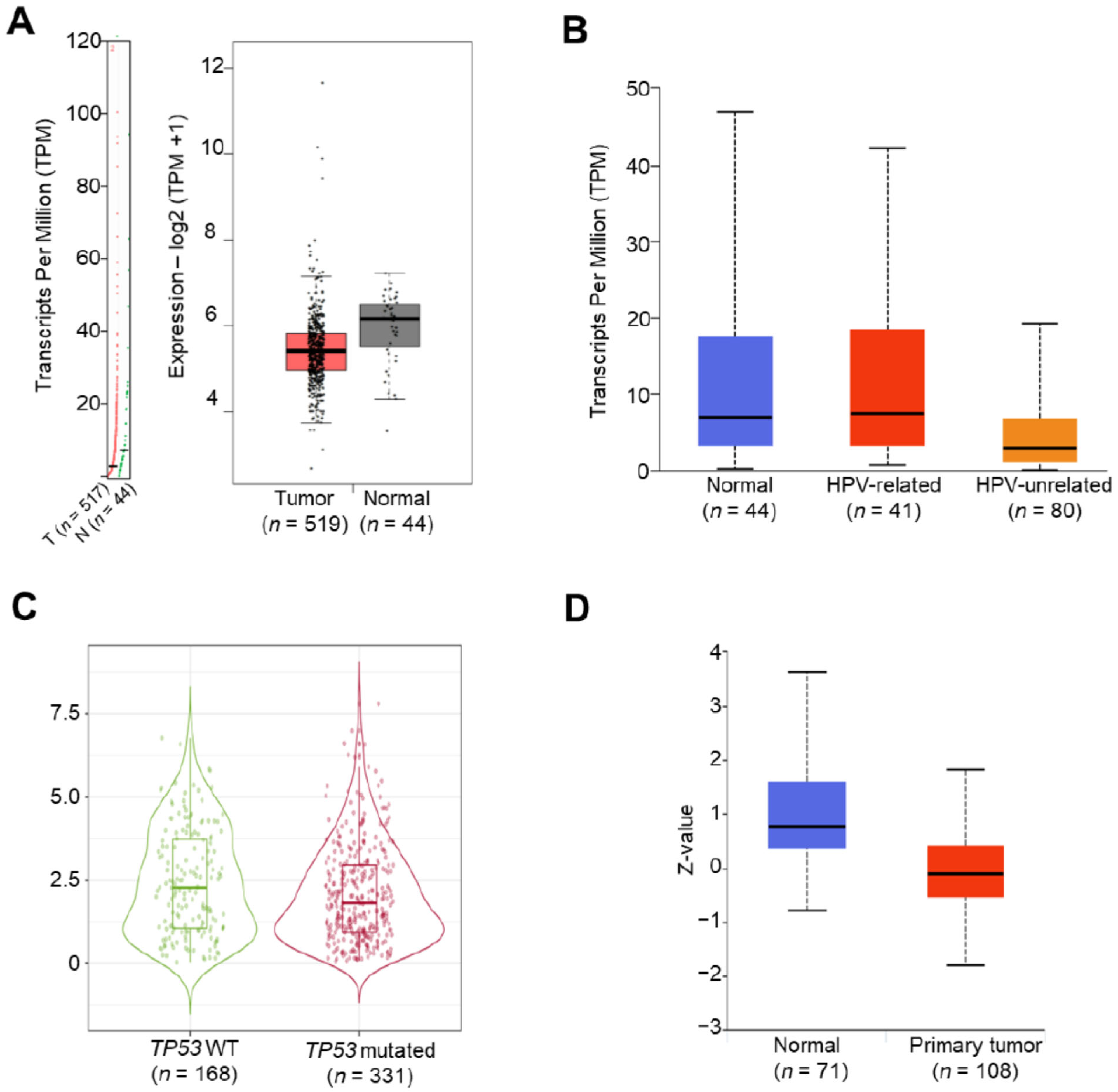 Diagnostics 12 01178 g001 Diagnostics 12 01178 g001