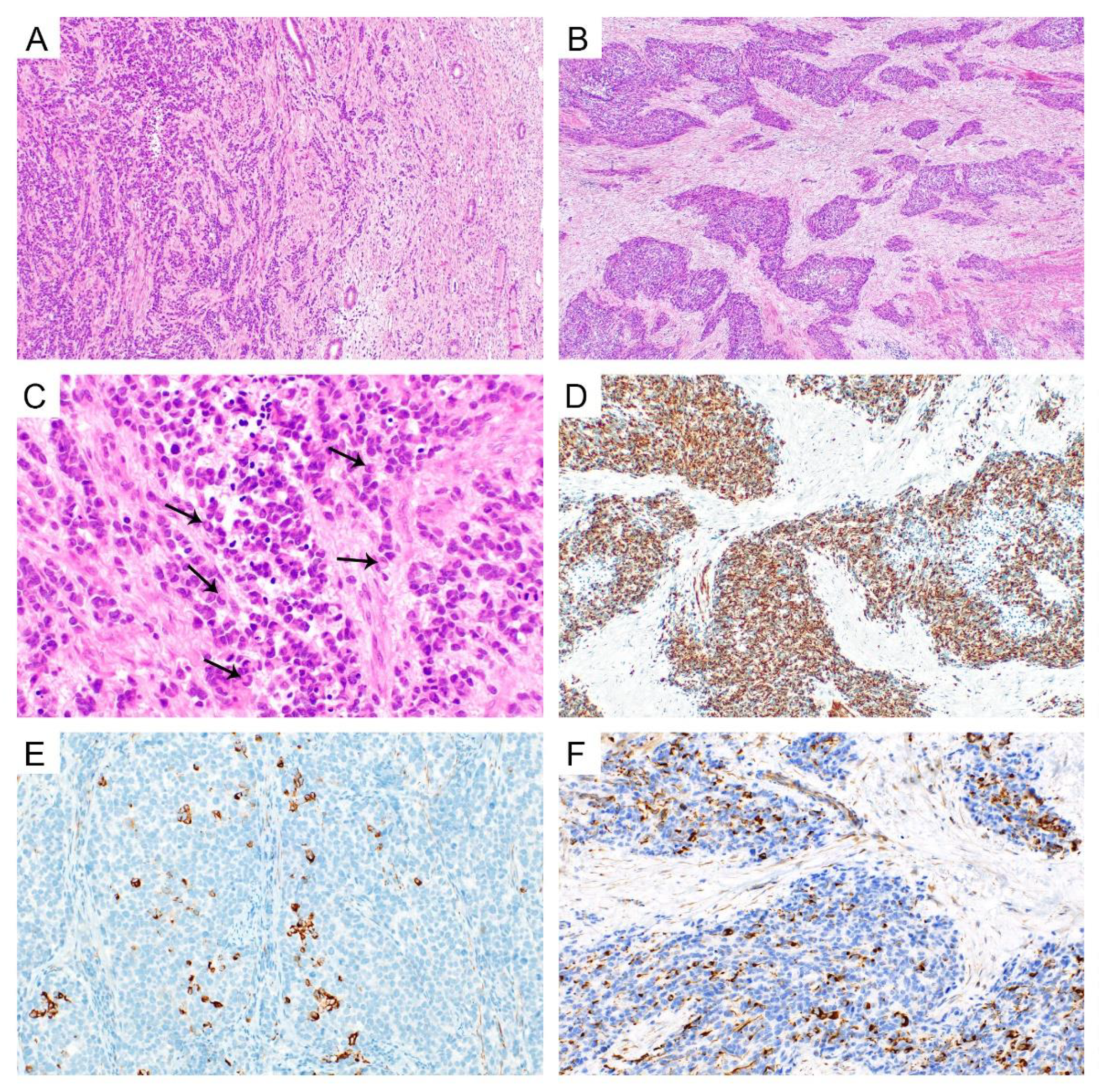 Diagnostics 12 01184 g003 550