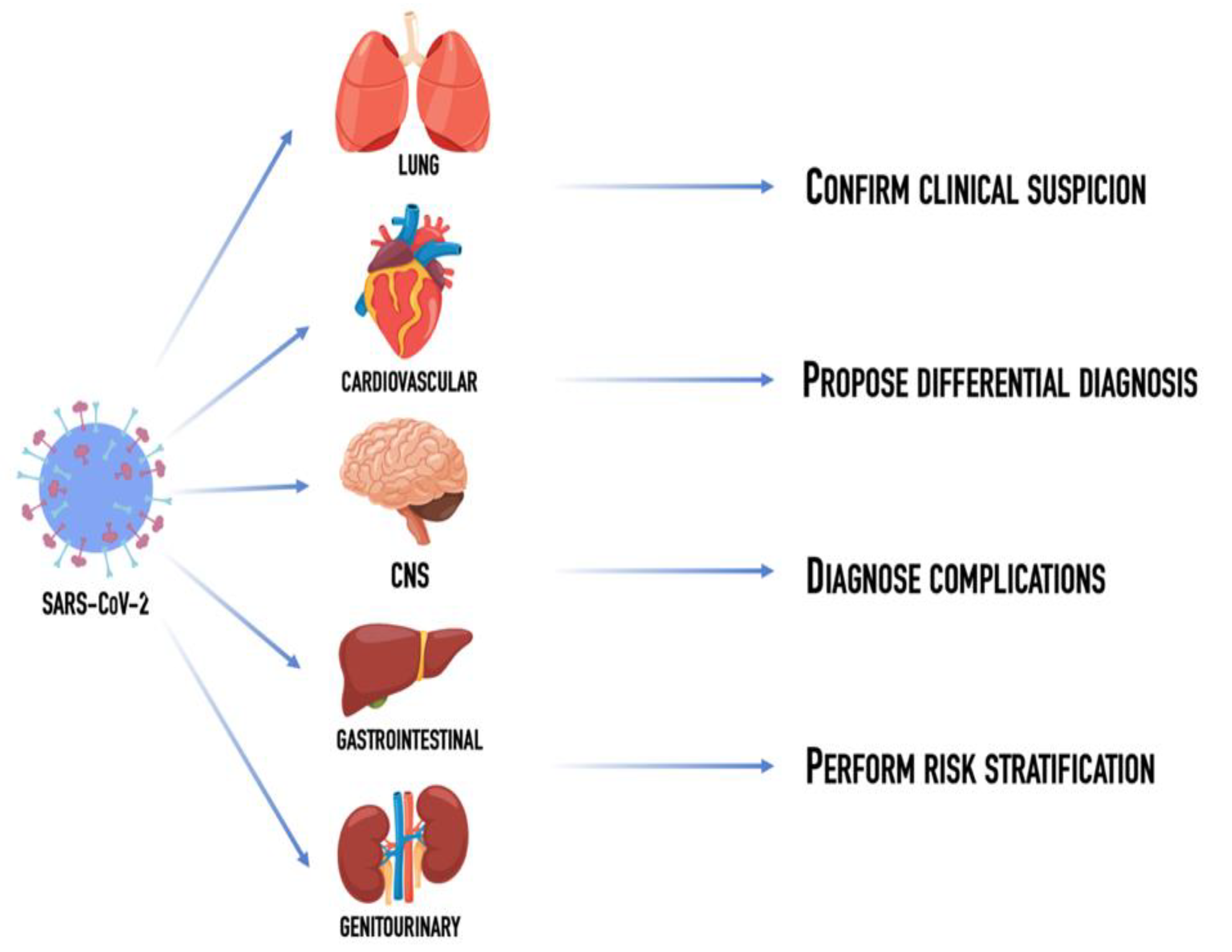 Diagnostics 12 01188 g001 550