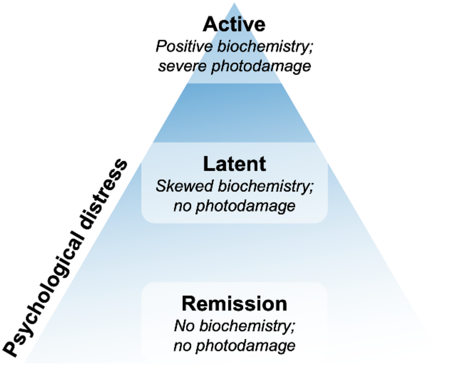 Diagnostics 12 01193 g003
