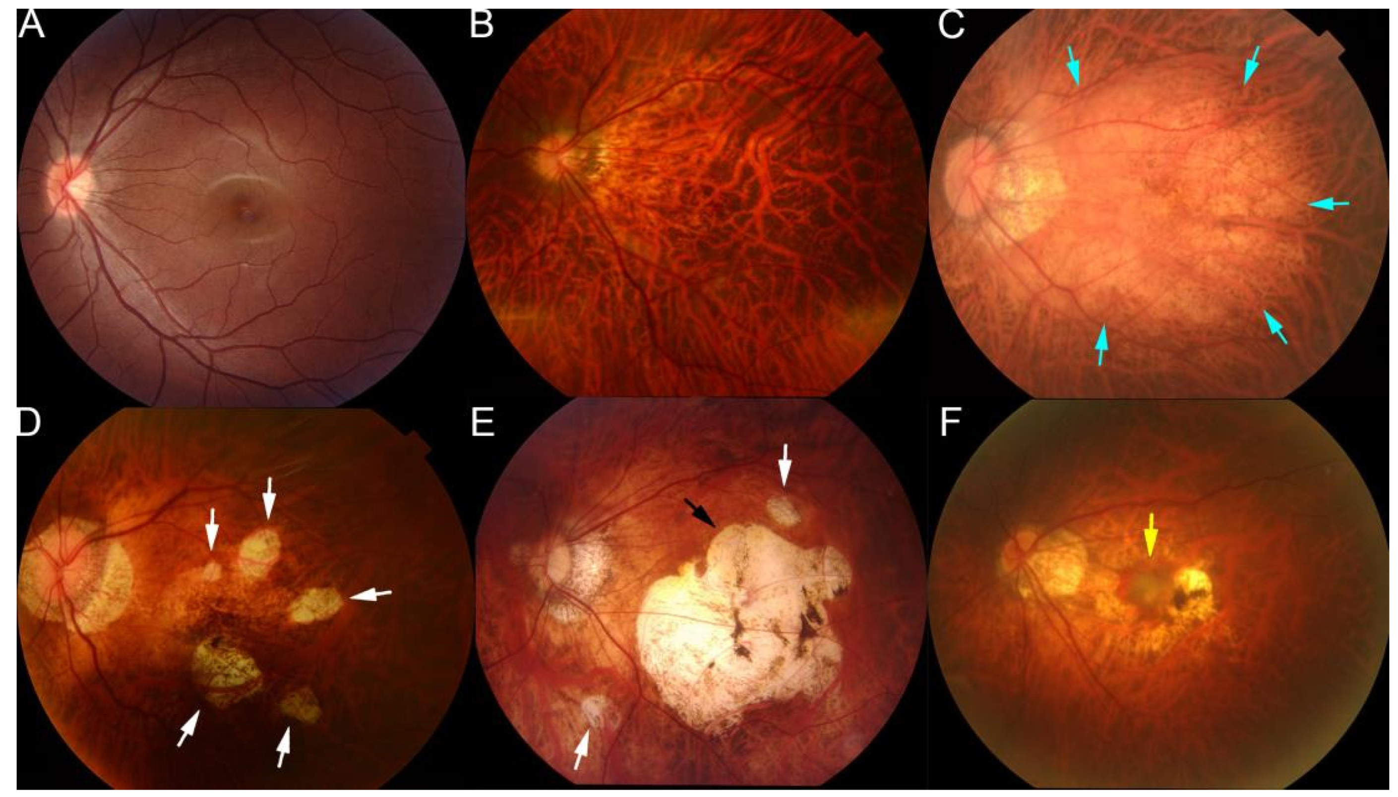 Diagnostics 12 01210 g002
