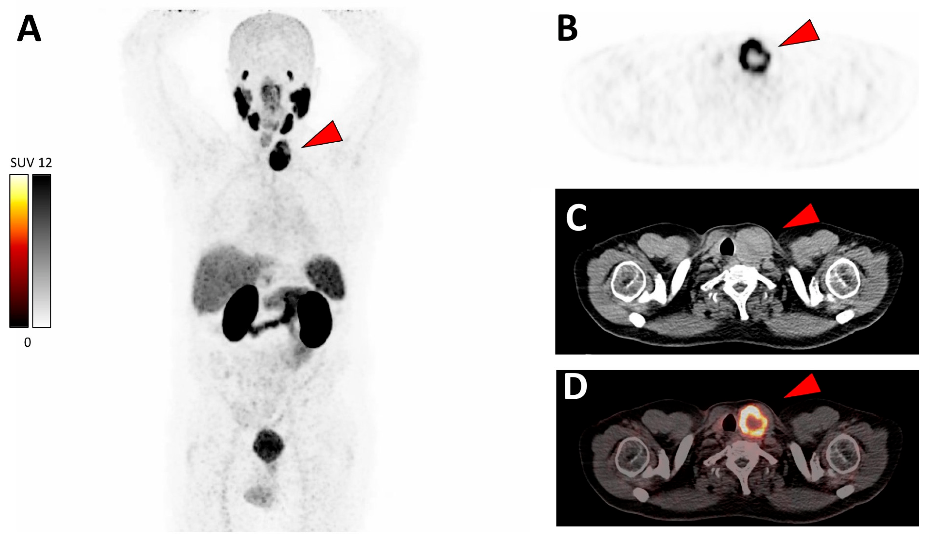 Diagnostics 12 01211 g001 550