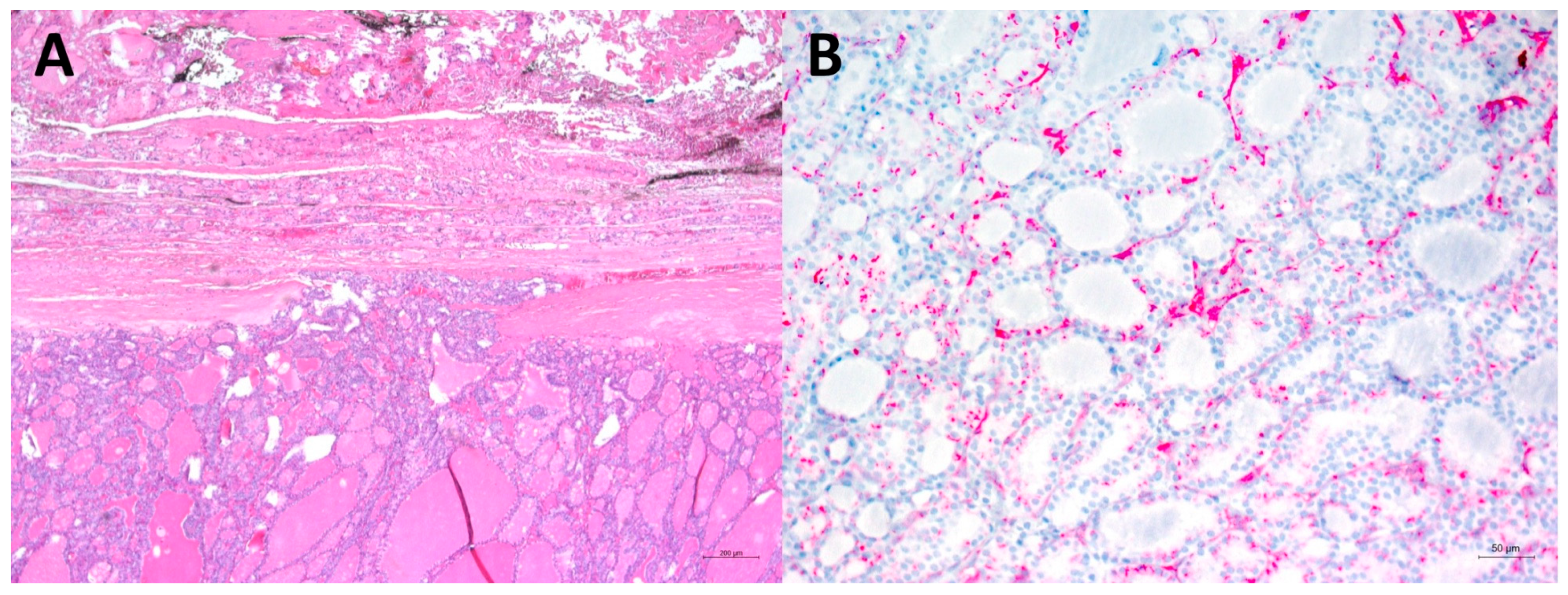 Diagnostics 12 01211 g002 550