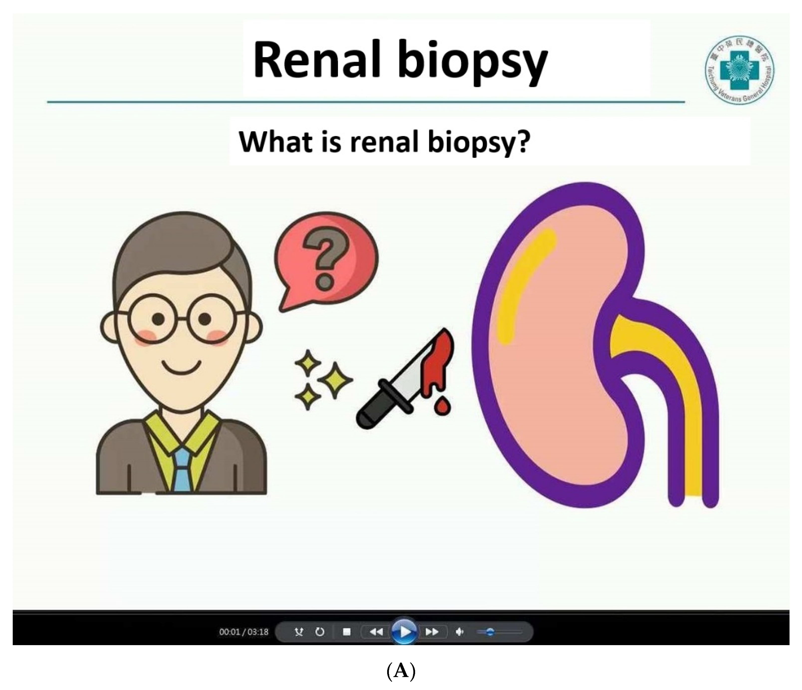 Diagnostics Free FullText Quality Improvement Initiatives in Renal