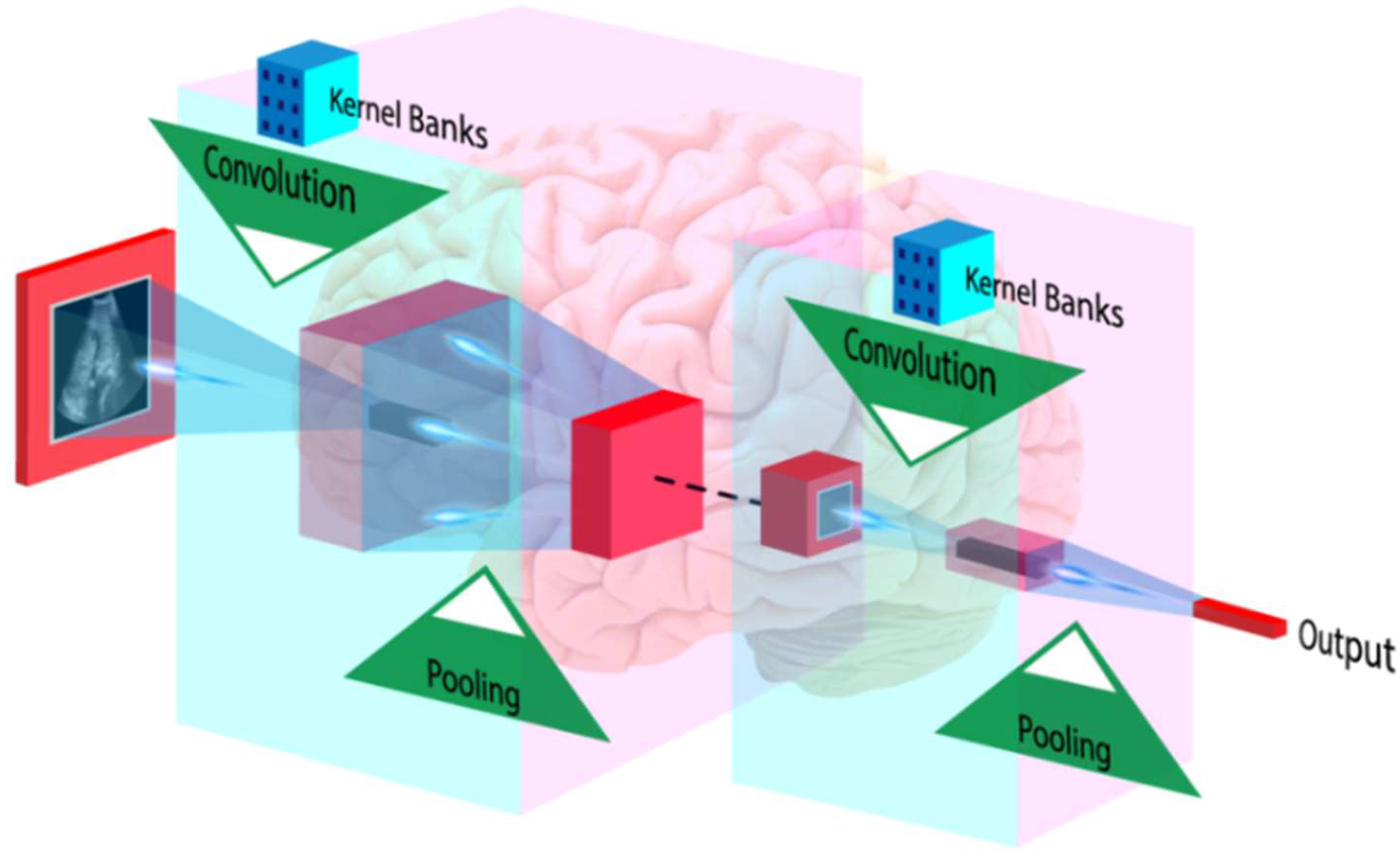 Diagnostics 12 01234 g013 Diagnostics 12 01234 g013