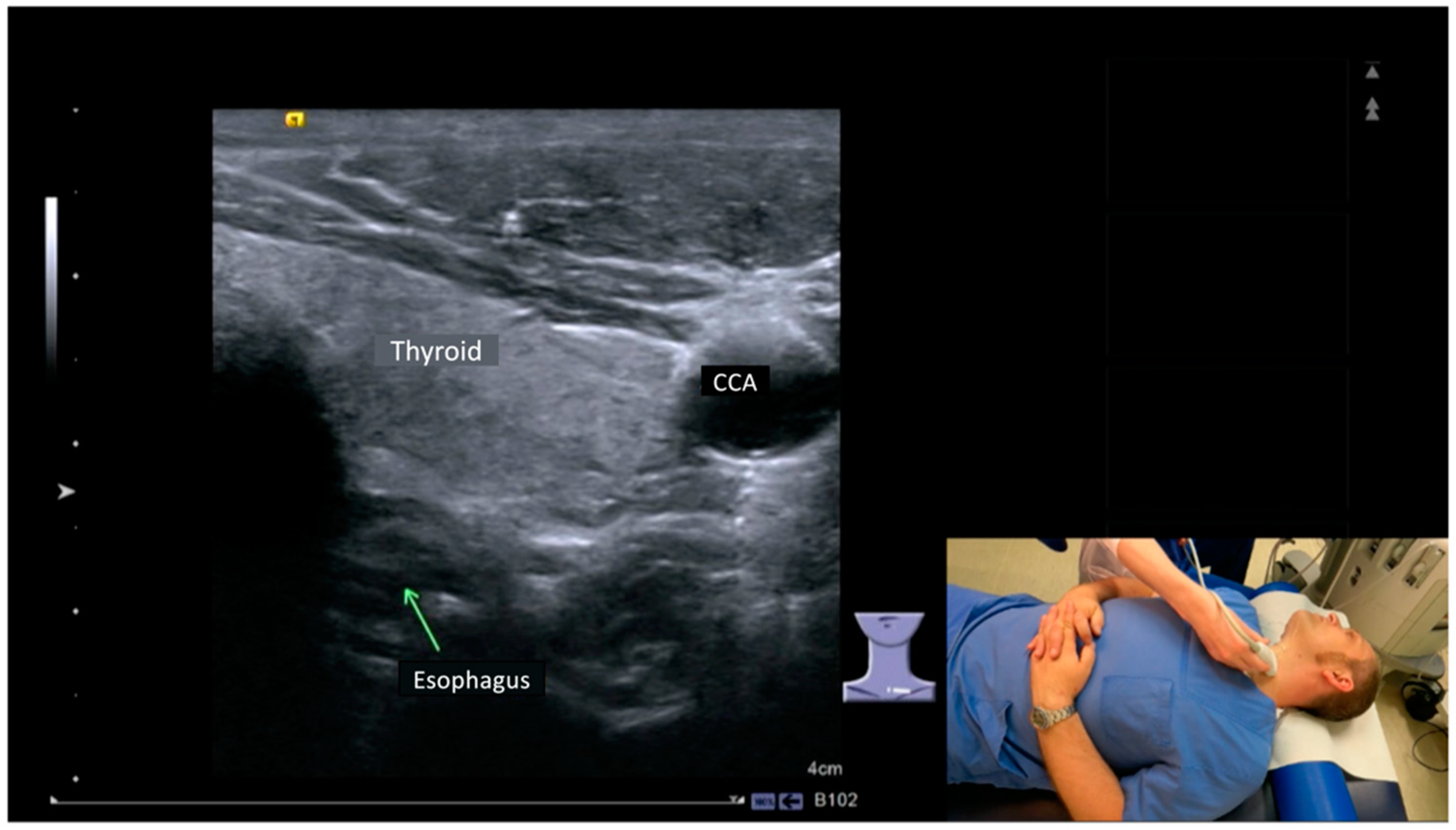 Diagnostics 12 01239 g001 550