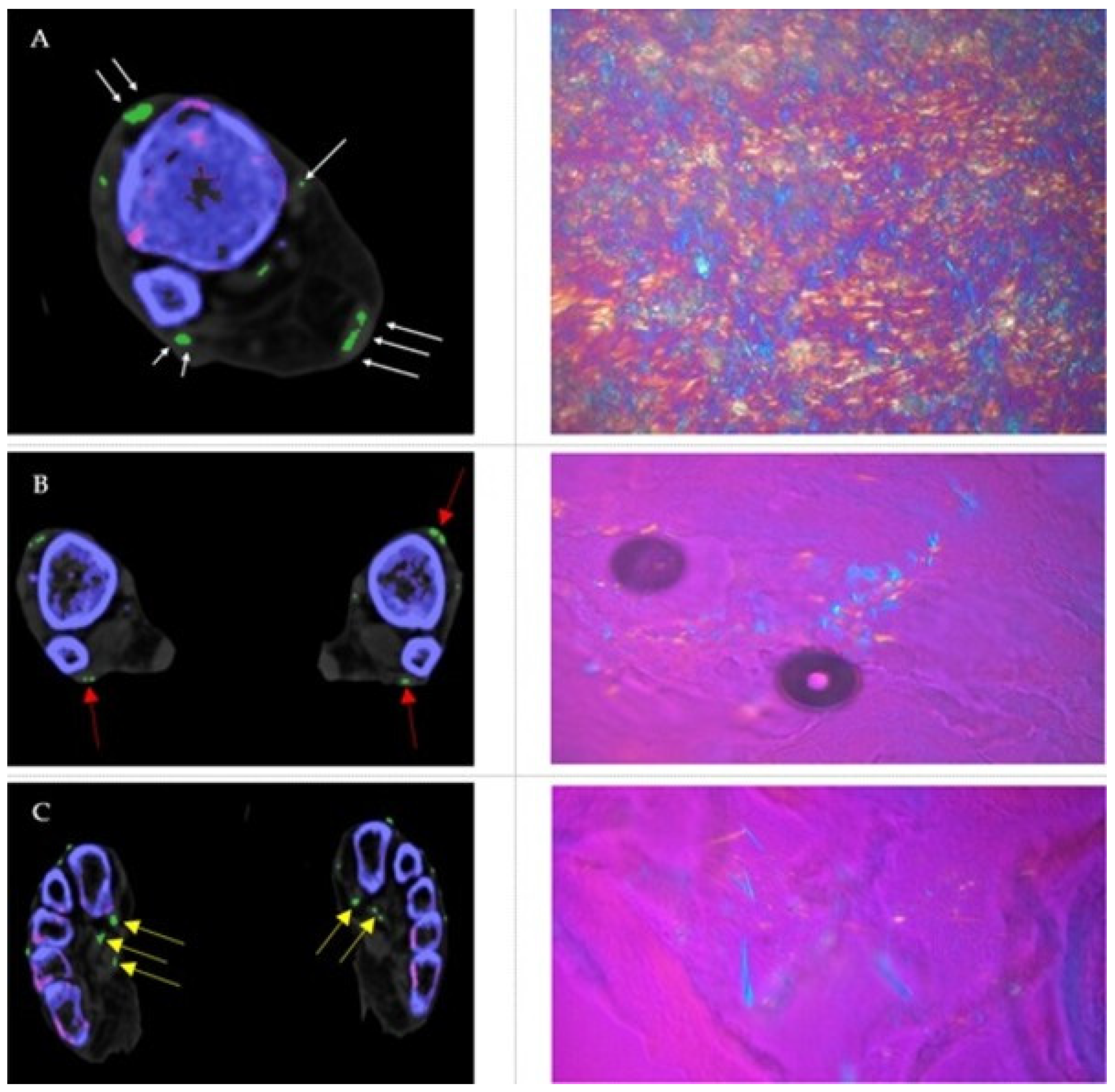 Diagnostics 12 01240 g003 Diagnostics 12 01240 g003