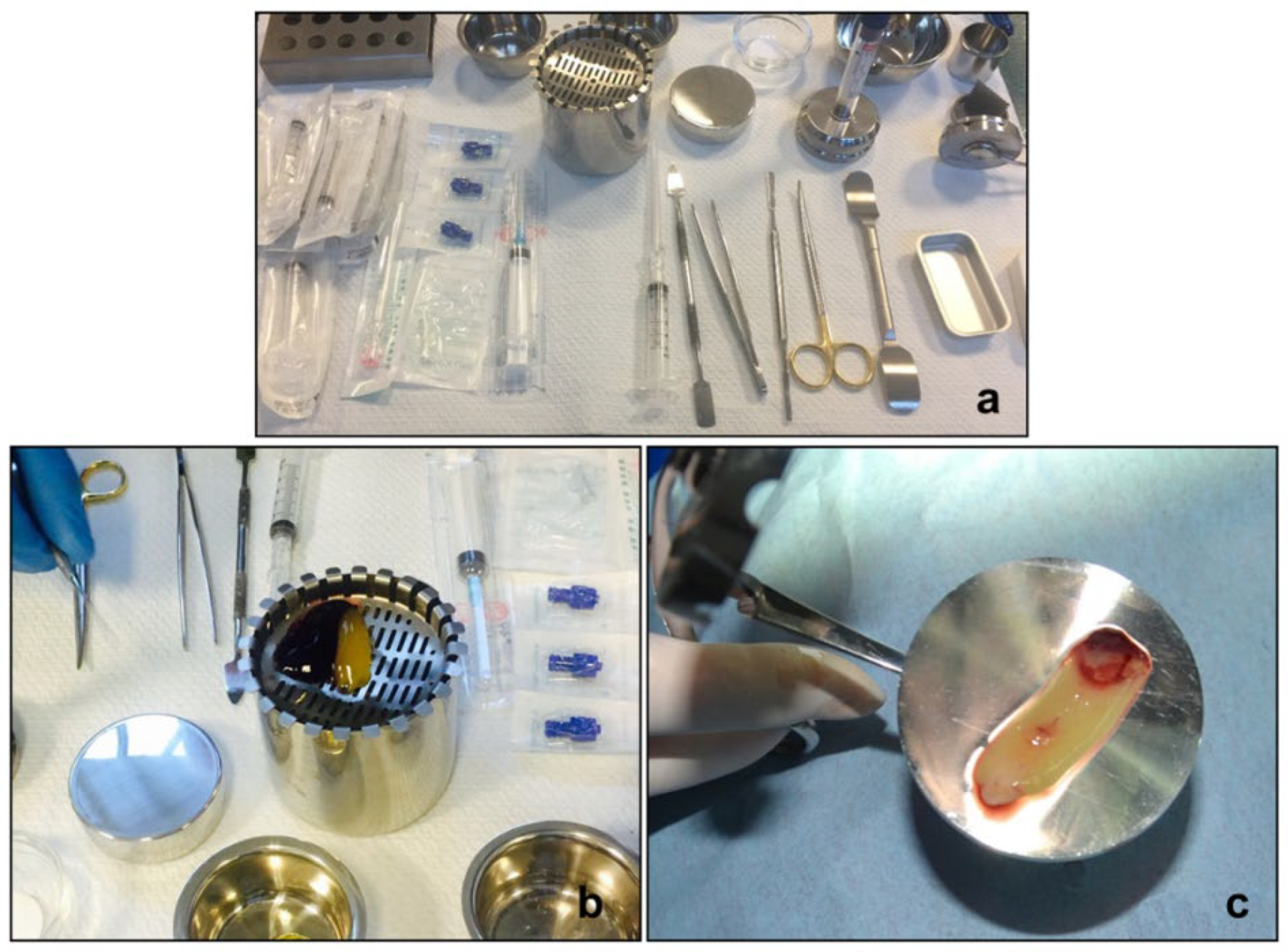 Diagnostics 12 01257 g003 550