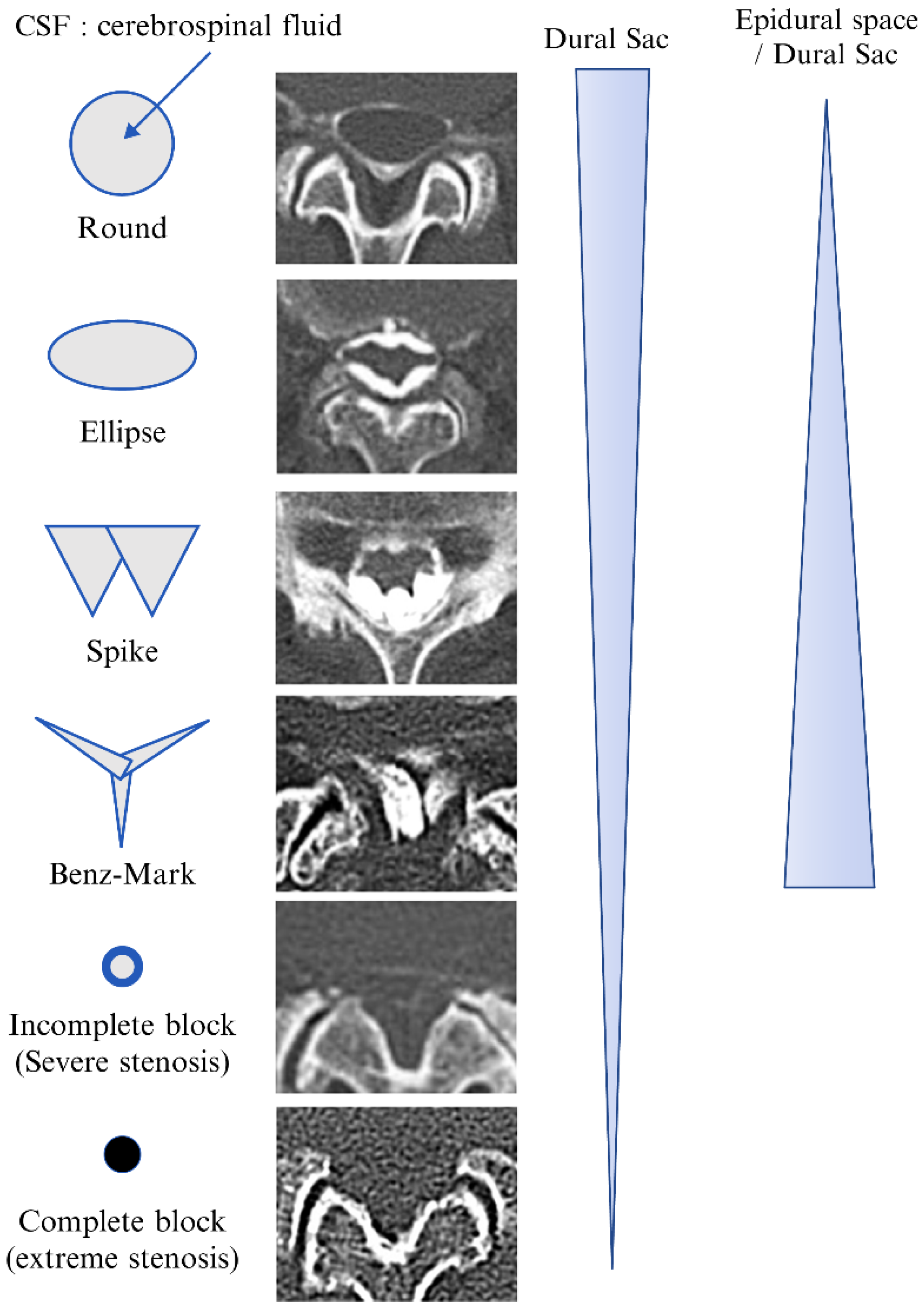 Diagnostics 12 01267 g001 Diagnostics 12 01267 g001