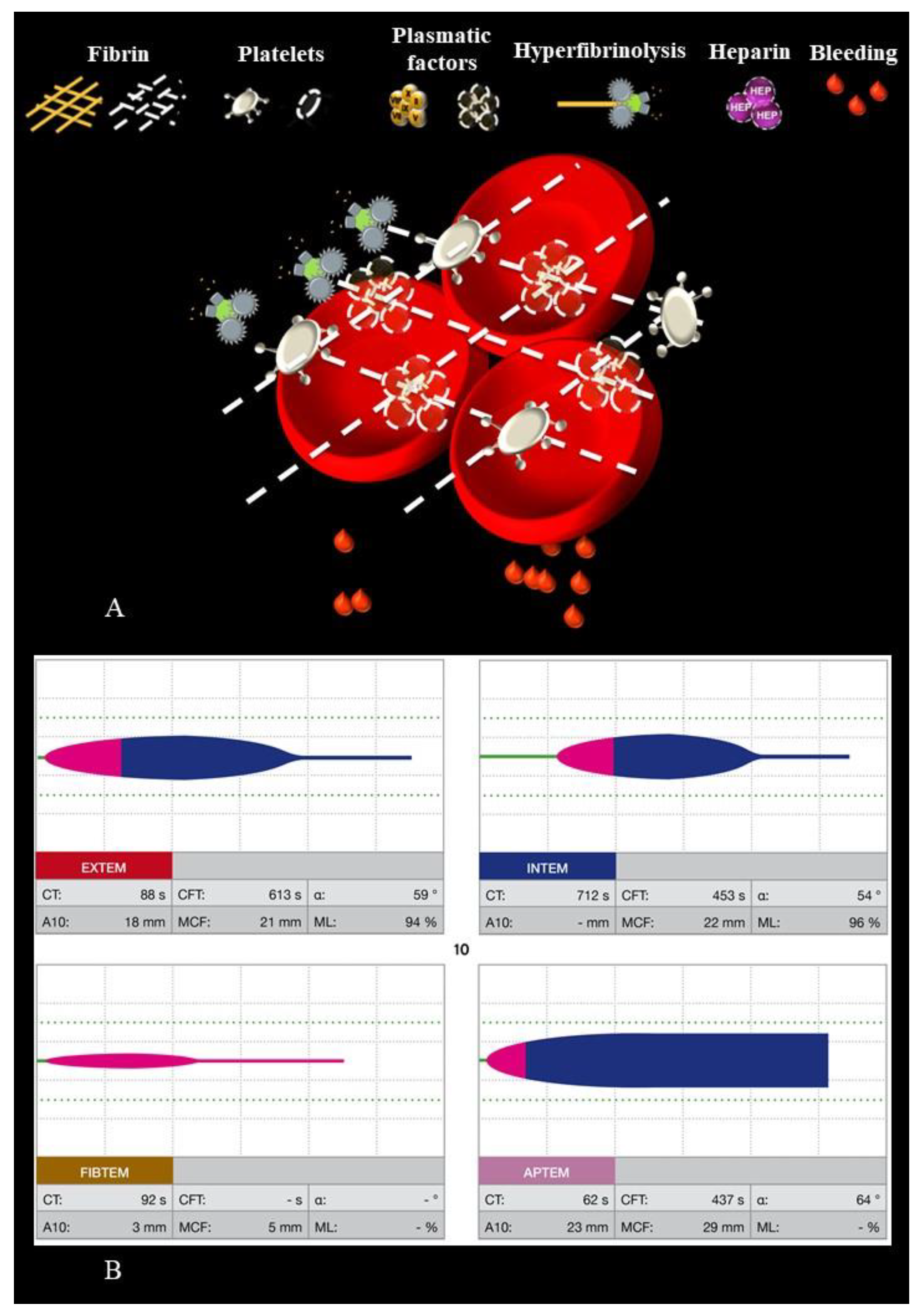 Diagnostics 12 01269 g001
