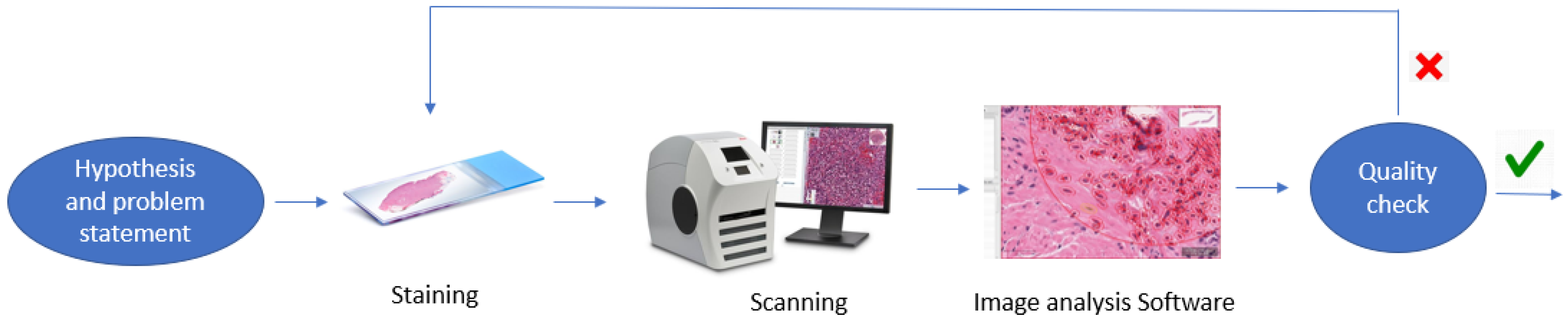 Diagnostics 12 01272 g001 550