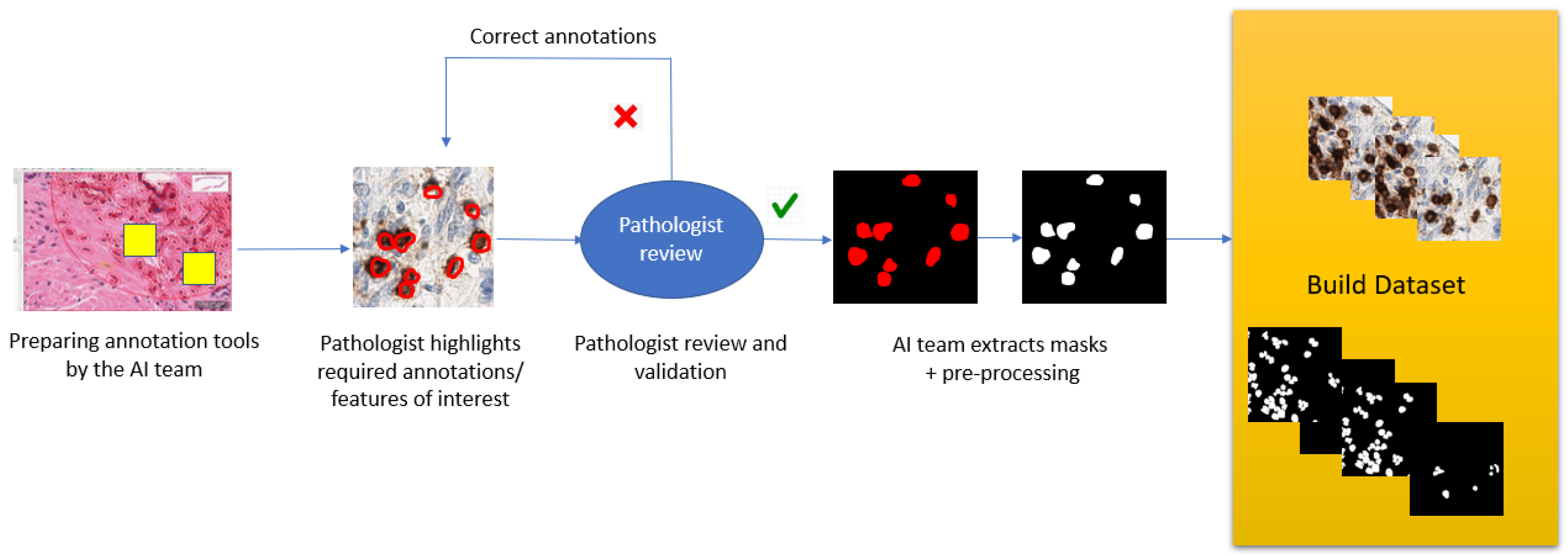 Diagnostics 12 01272 g002 550