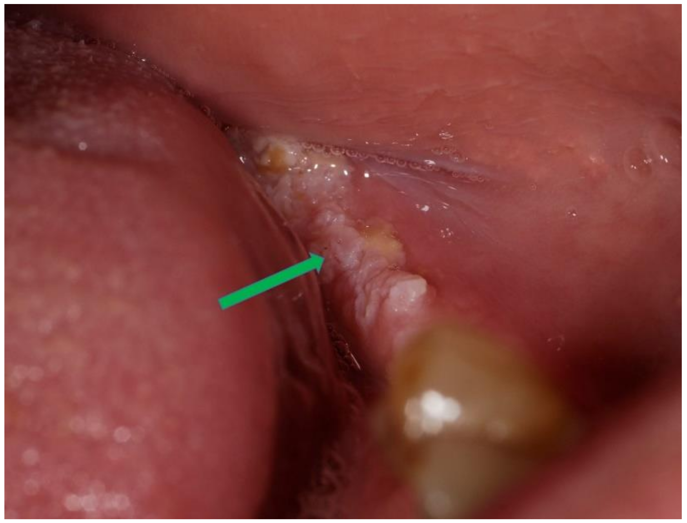 Diagnostics 12 01273 g002 Diagnostics 12 01273 g002