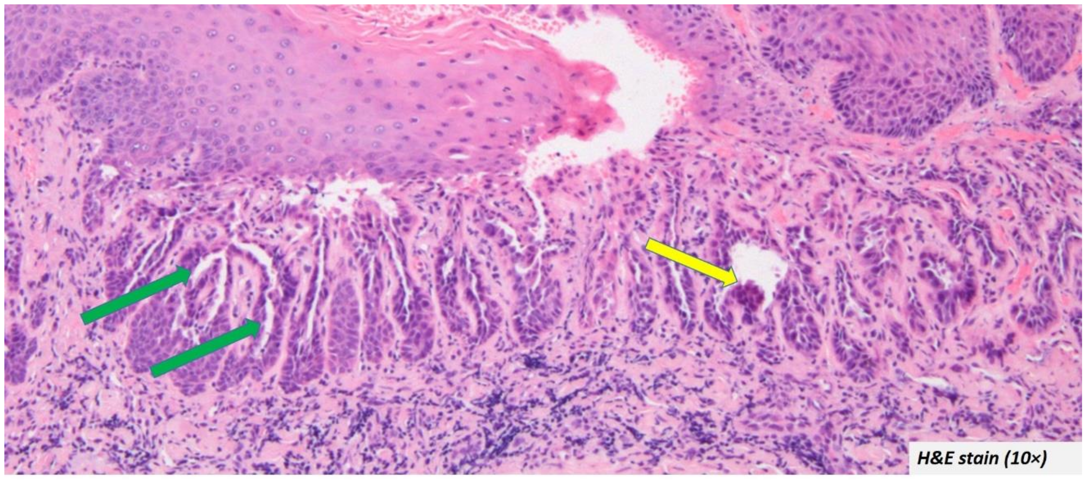 Diagnostics 12 01273 g003 Diagnostics 12 01273 g003