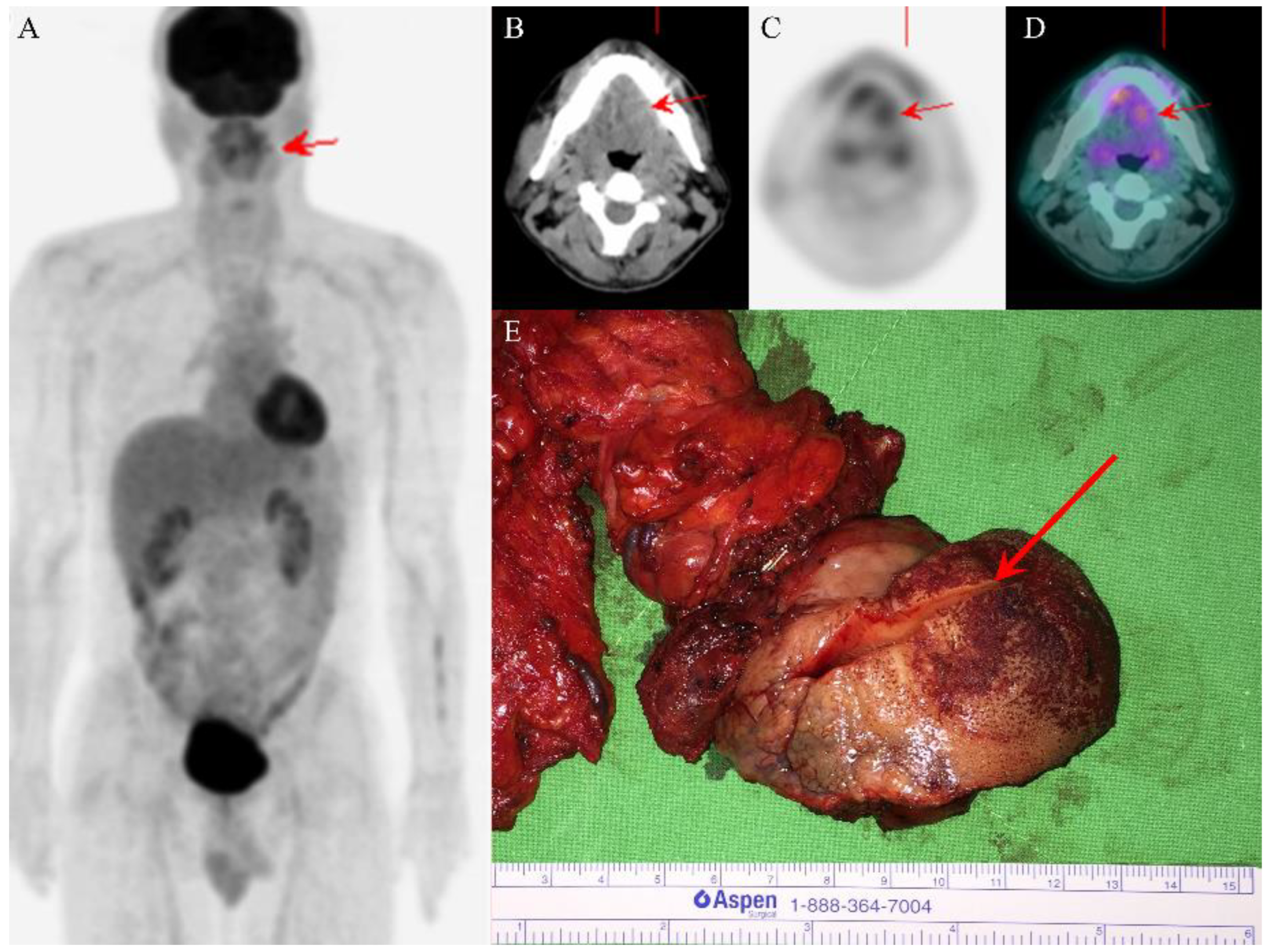 Diagnostics 12 01288 g001