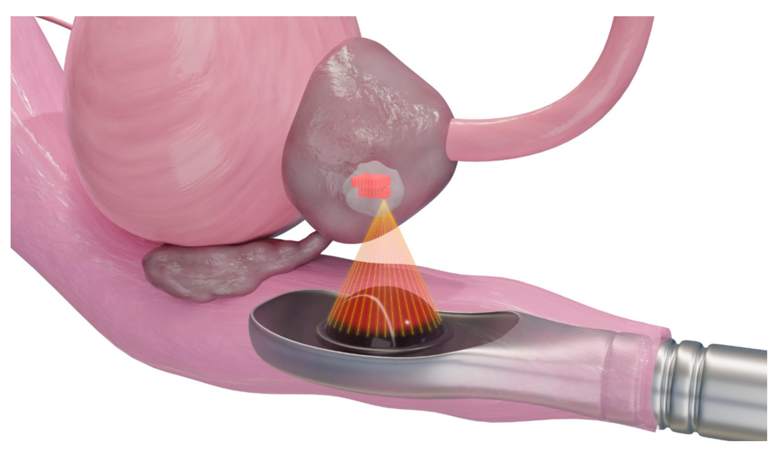 Diagnostics 12 01300 g006 550