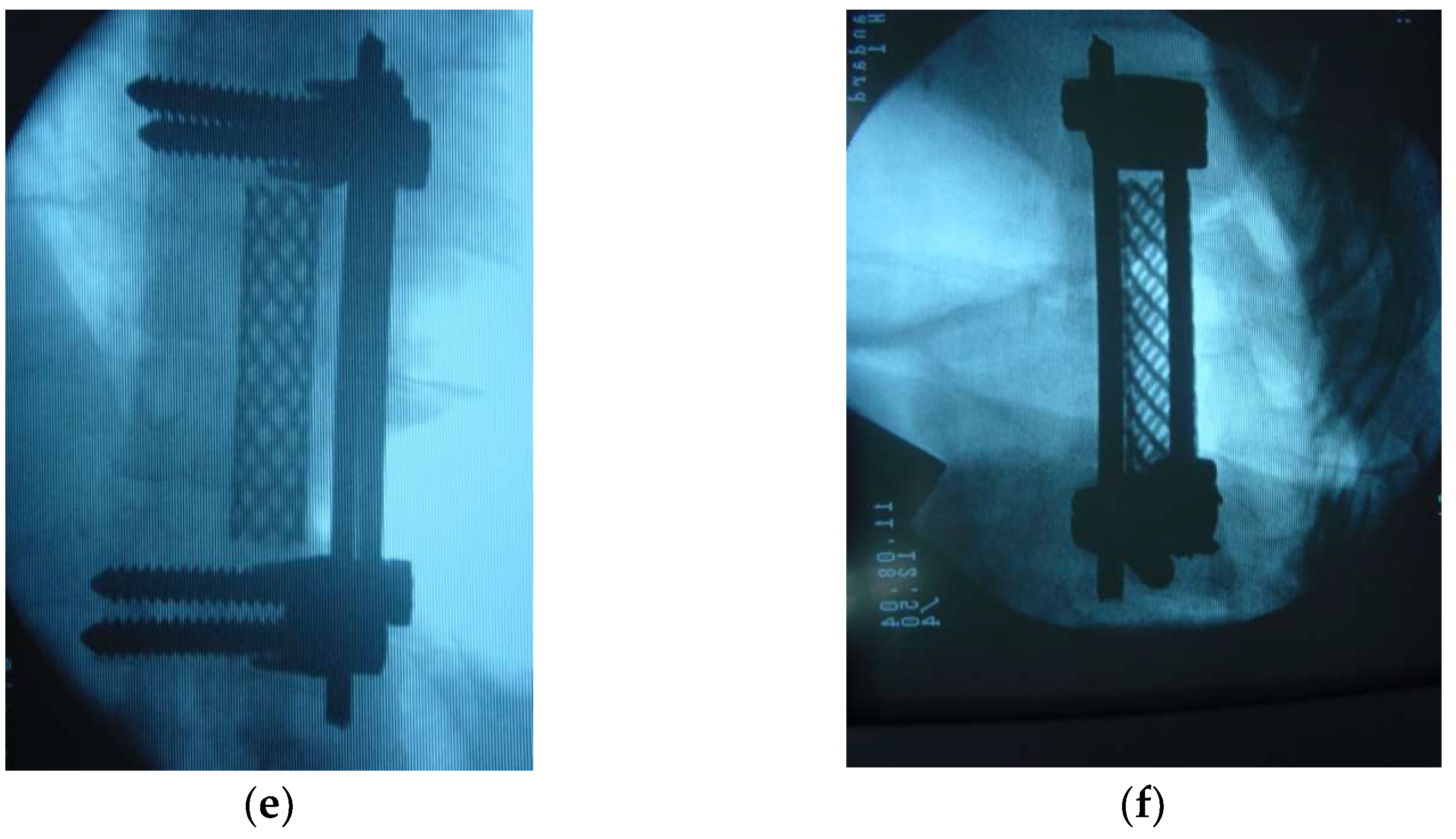 Diagnostics 12 01307 g001b Diagnostics 12 01307 g001b