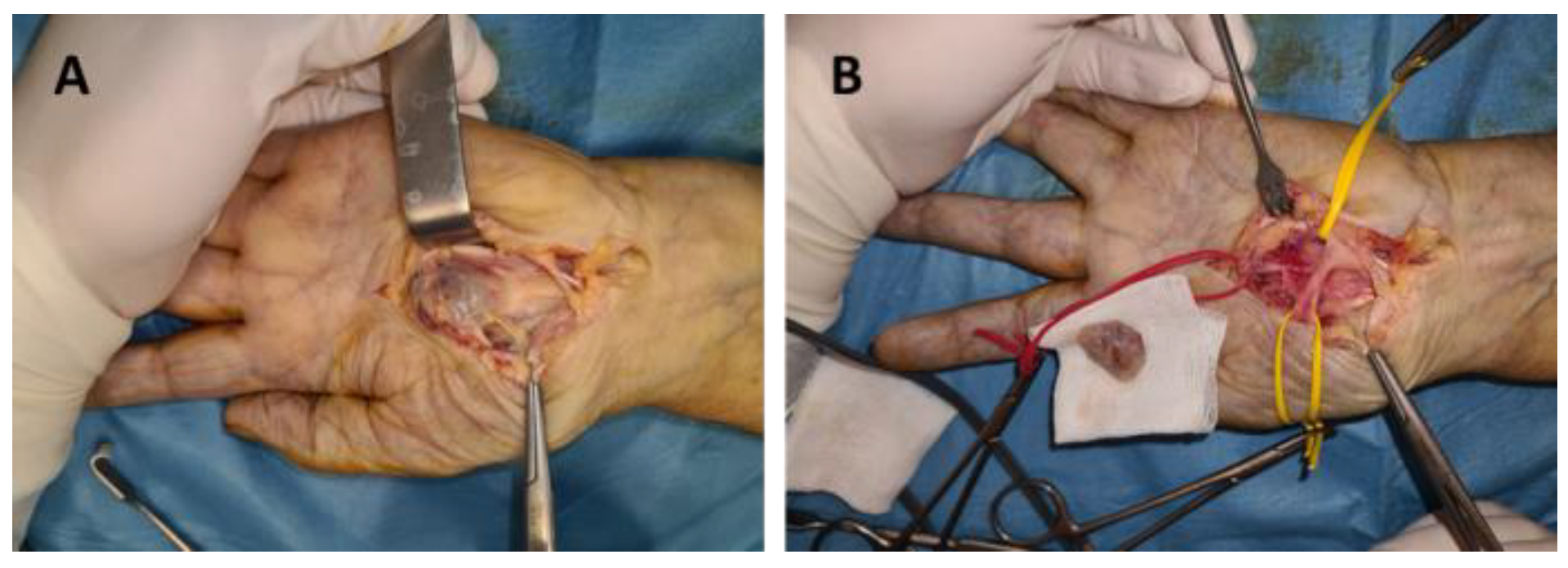 Diagnostics 12 01319 g002
