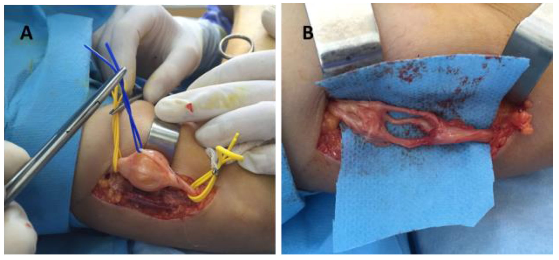 Diagnostics 12 01319 g005