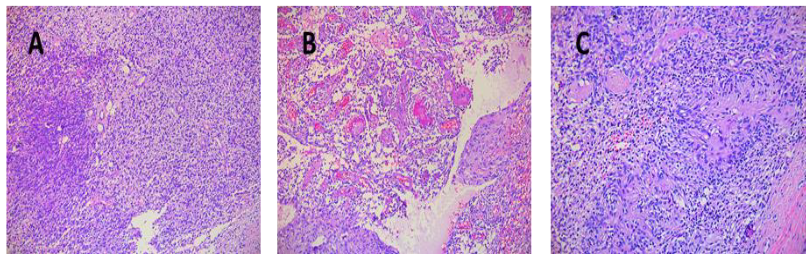 Diagnostics 12 01319 g006