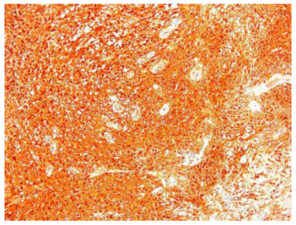 Diagnostics 12 01319 g007