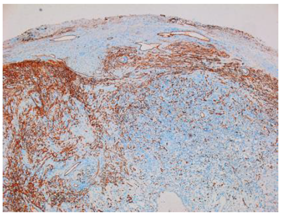 Diagnostics 12 01319 g008