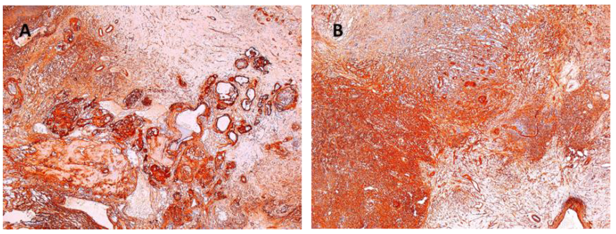 Diagnostics 12 01319 g009