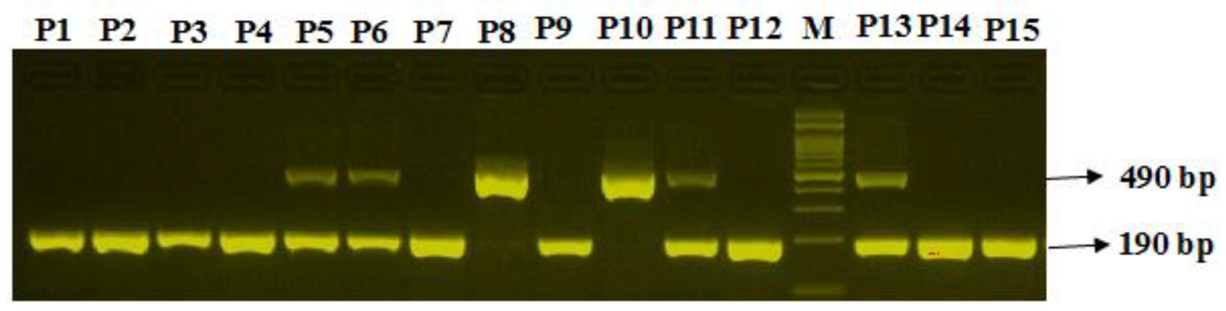 Diagnostics 12 01321 g001 Diagnostics 12 01321 g001