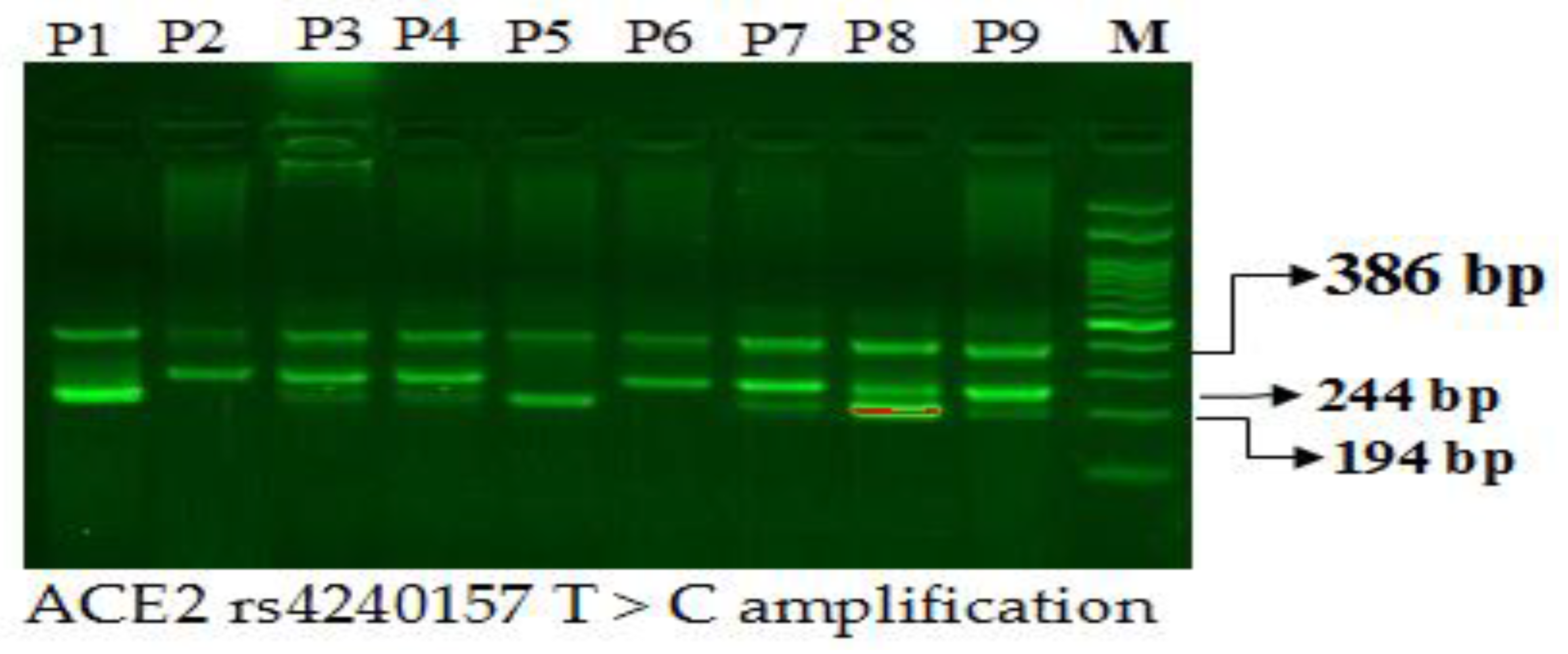 Diagnostics 12 01321 g002 Diagnostics 12 01321 g002