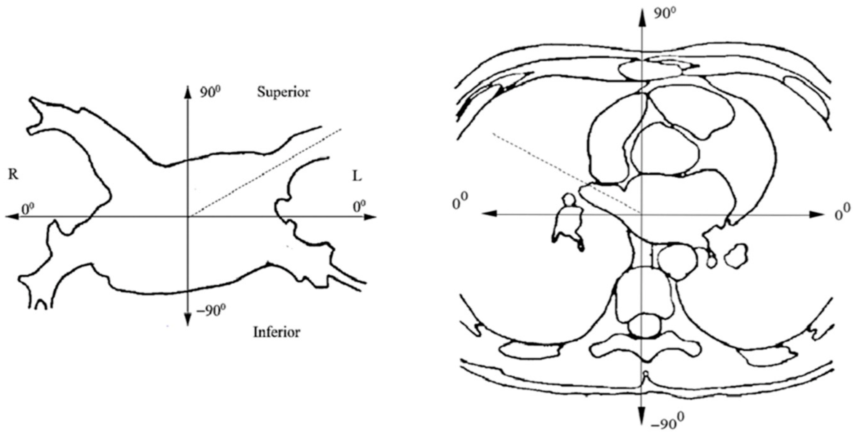 Diagnostics 12 01322 g001