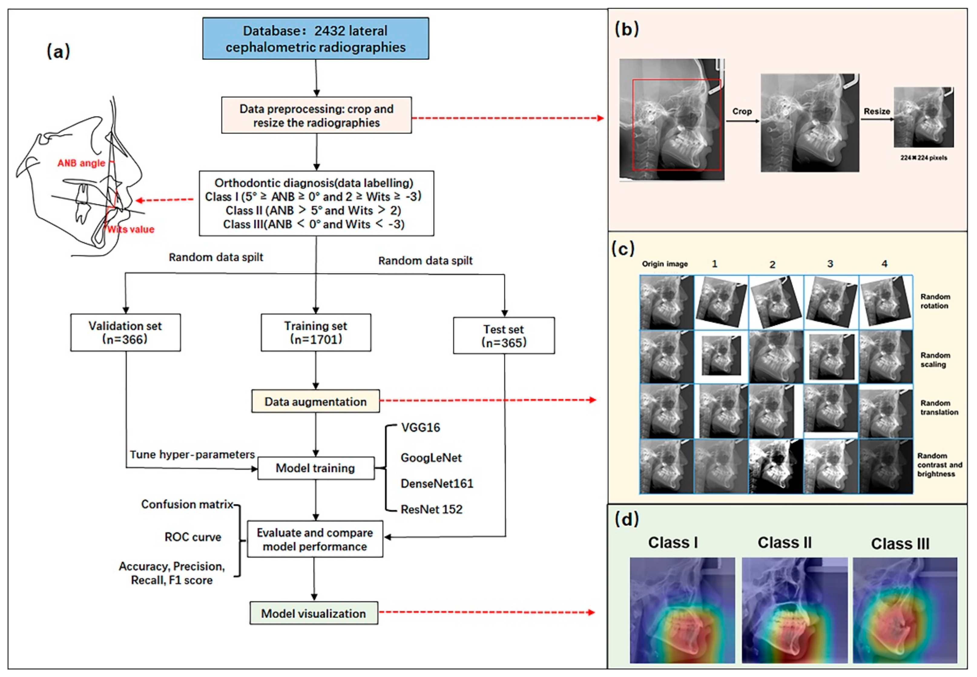 Diagnostics 12 01359 g001