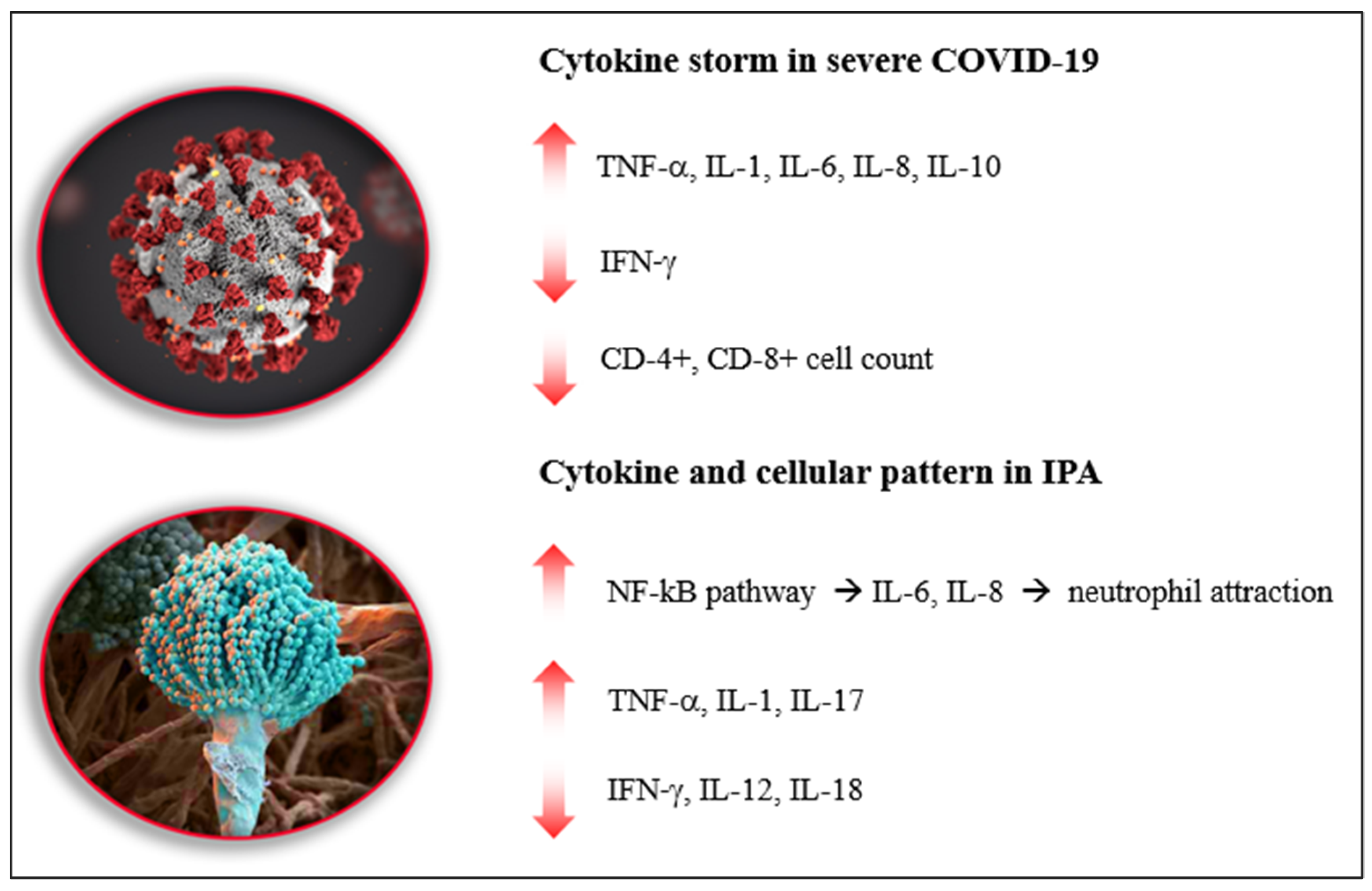 Diagnostics 12 01364 g001 550