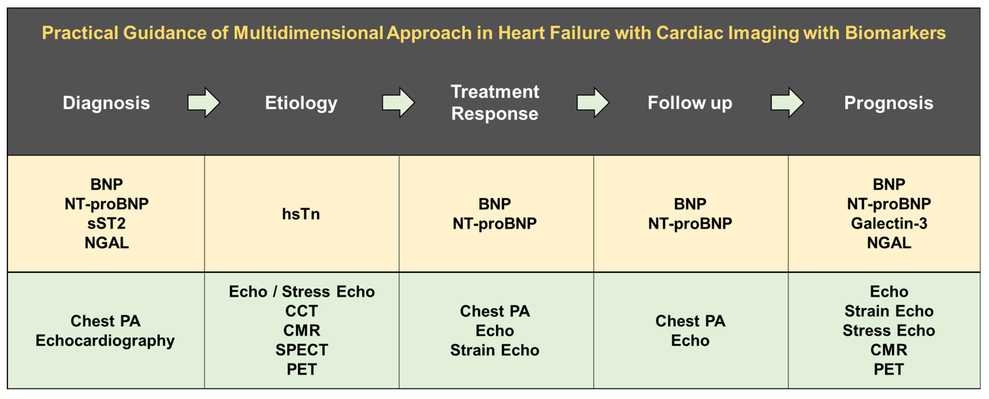 Diagnostics 12 01366 g003 550