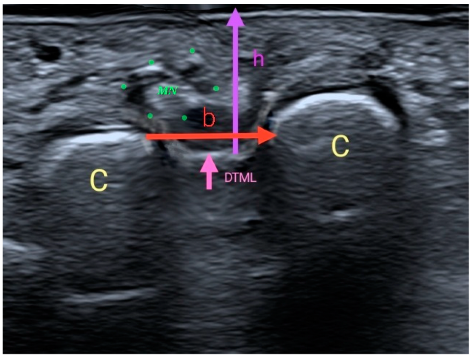 Diagnostics 12 01367 g003