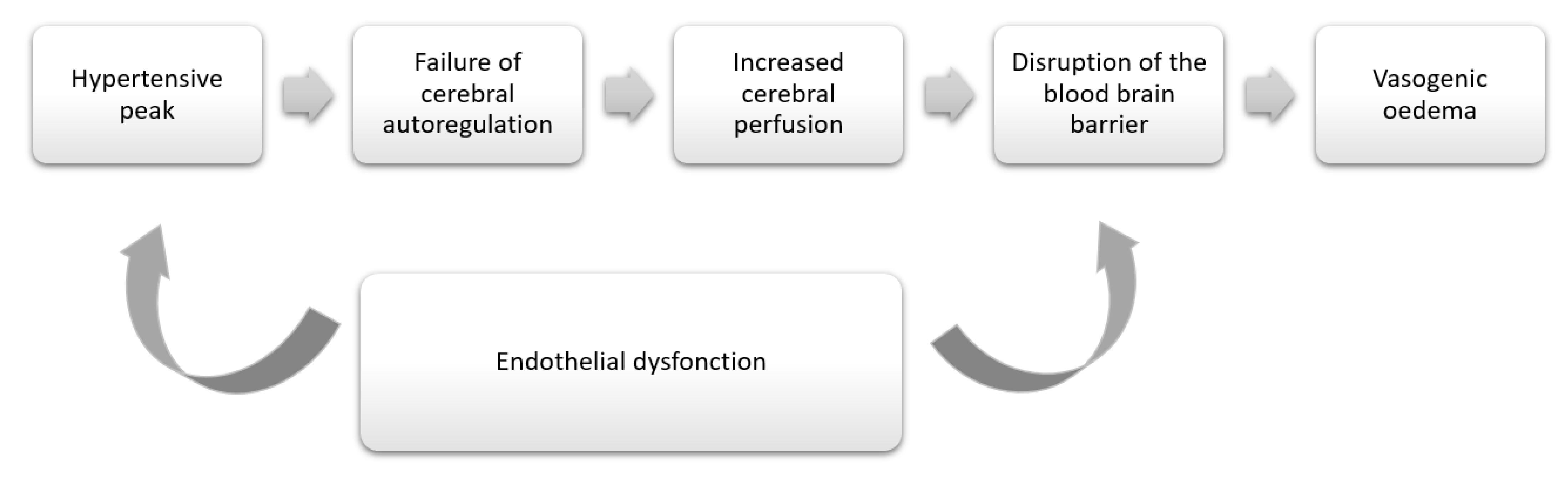 Diagnostics 12 01369 g006 550