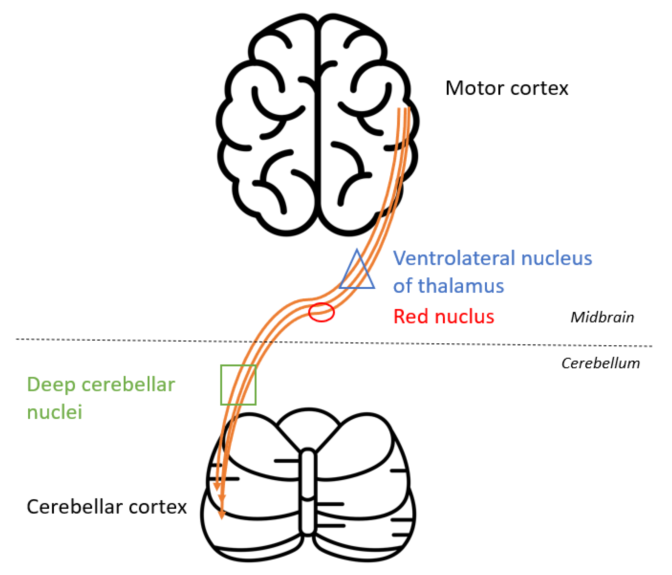 Diagnostics 12 01369 g007 550