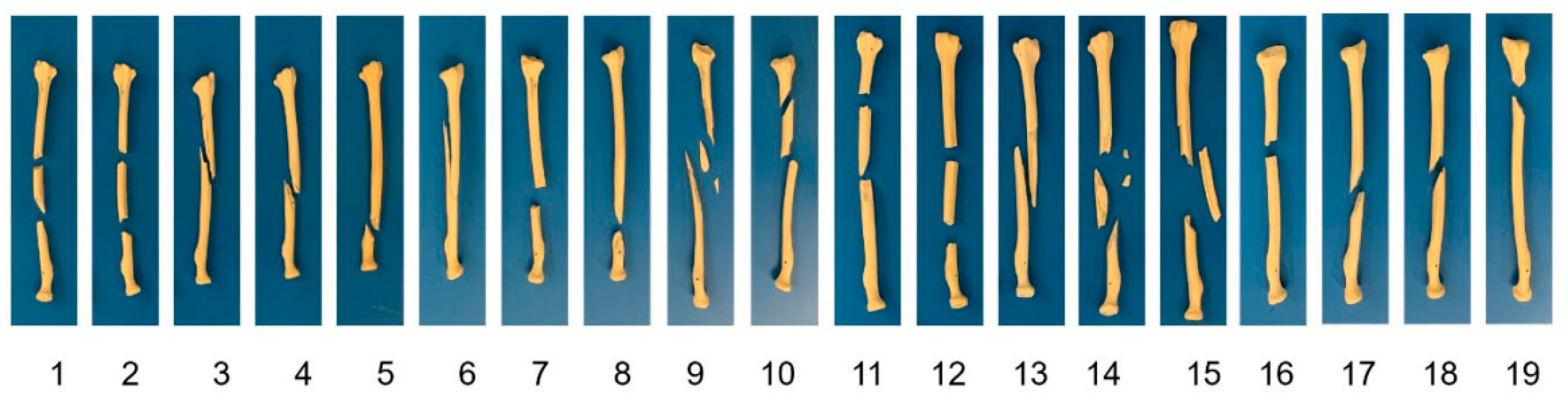 Diagnostics 12 01372 g001