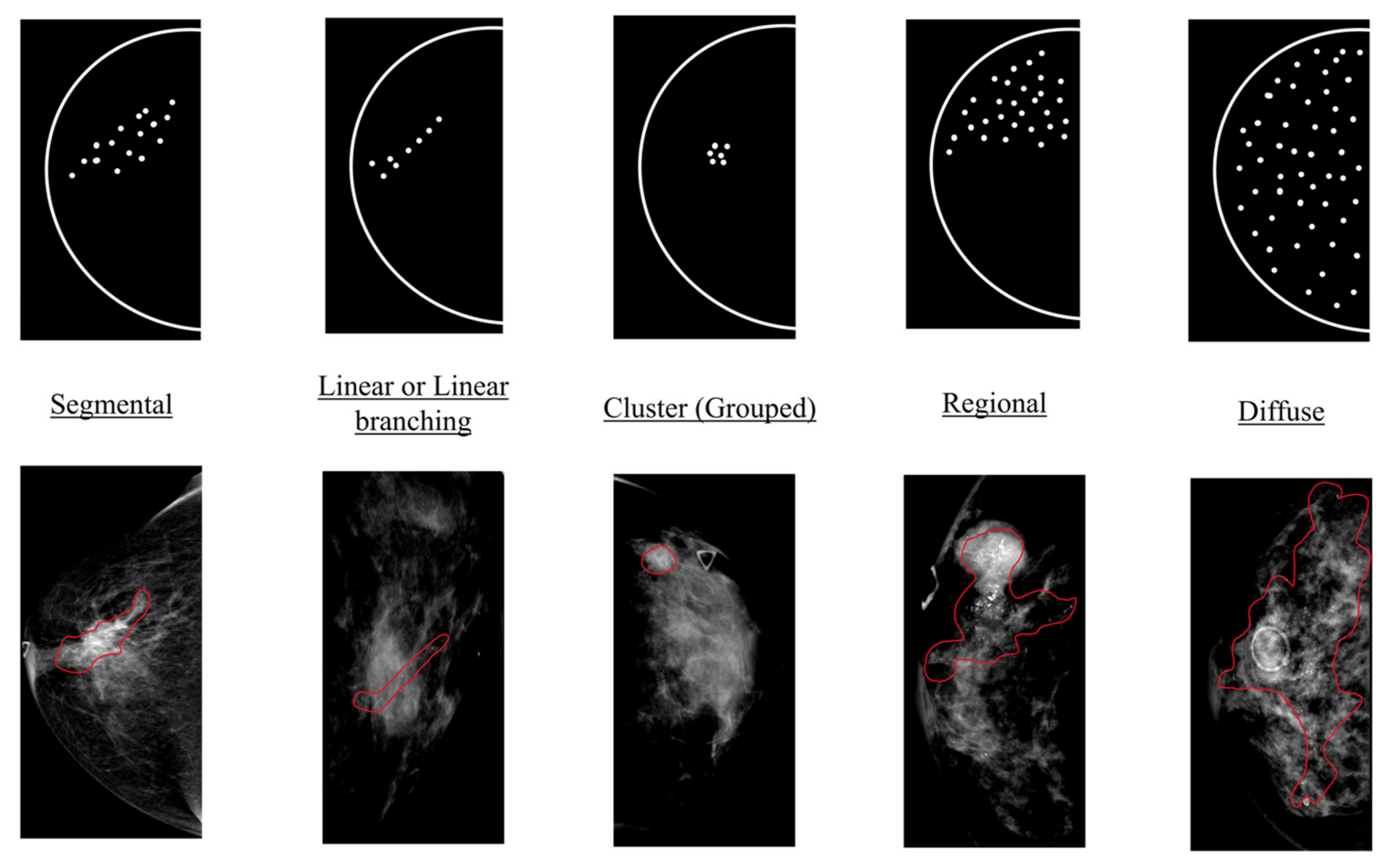 Diagnostics 12 01376 g001 Diagnostics 12 01376 g001