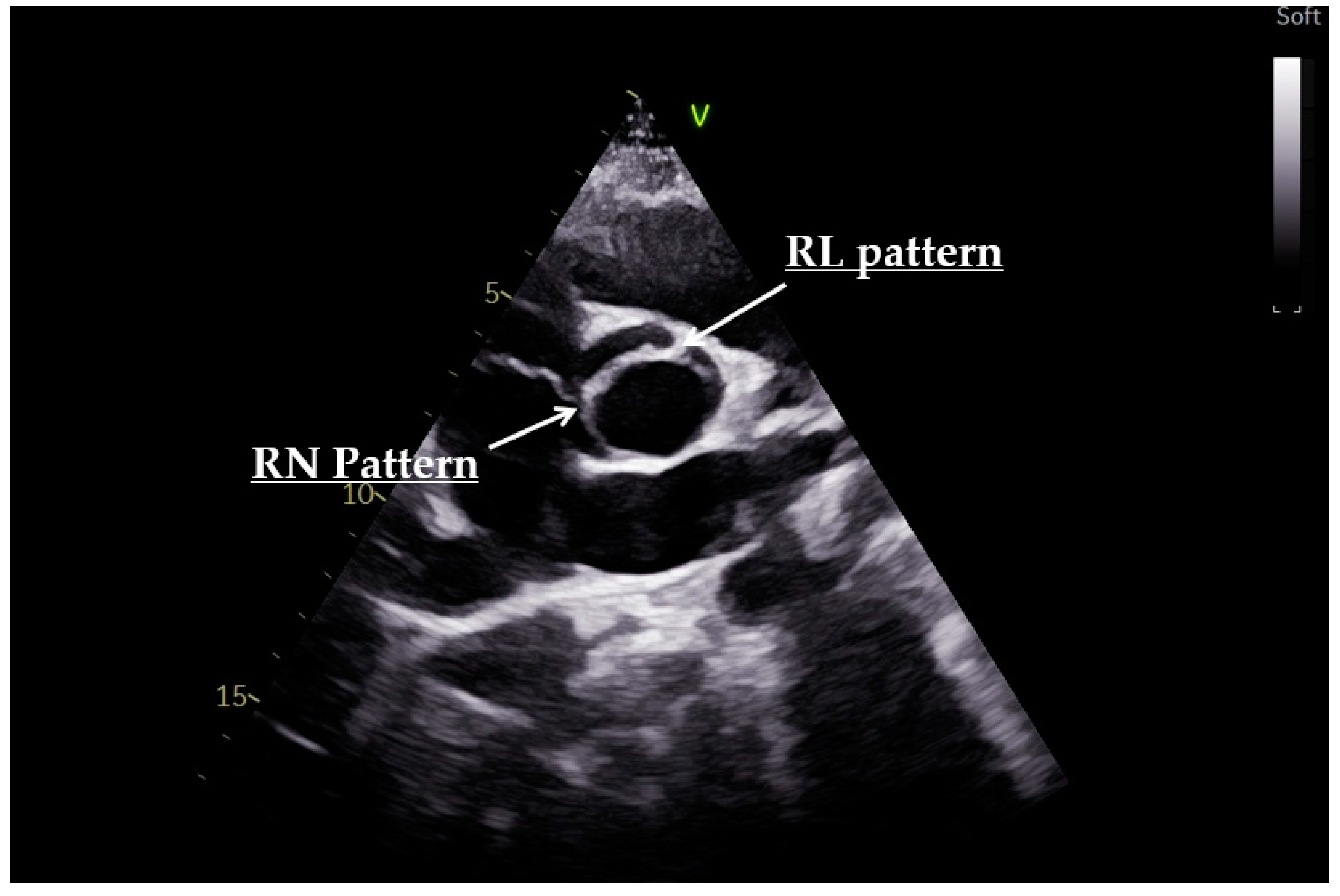 Diagnostics 12 01392 g004