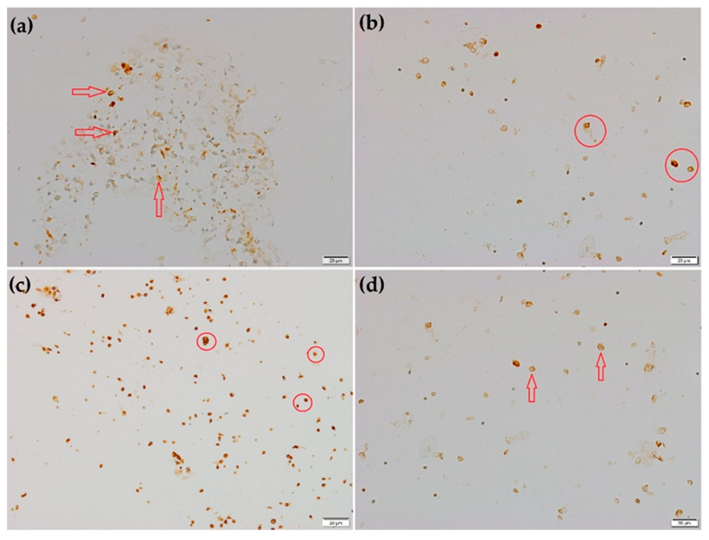 Diagnostics 12 01394 g002 550