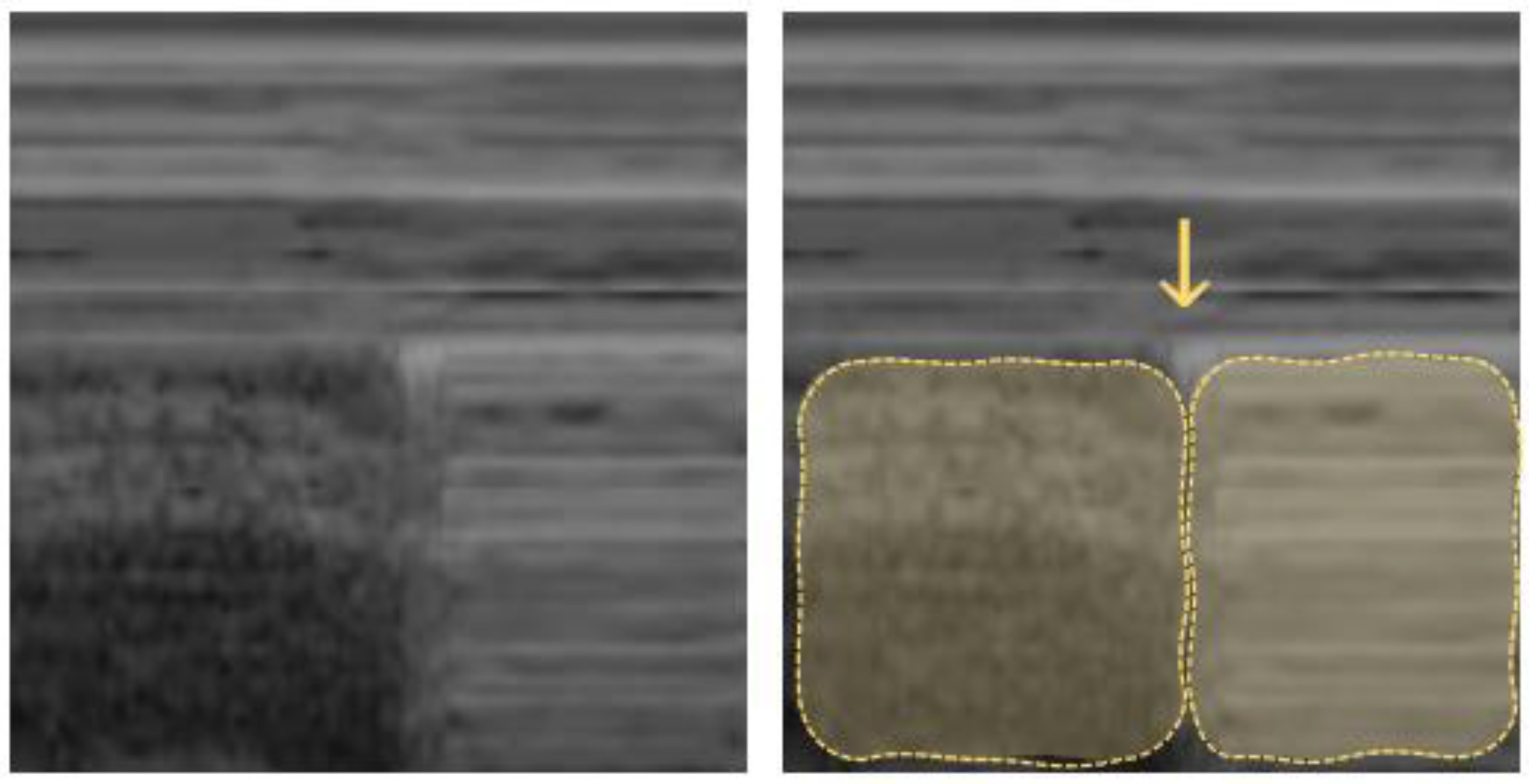 Diagnostics 12 01405 g003 Diagnostics 12 01405 g003