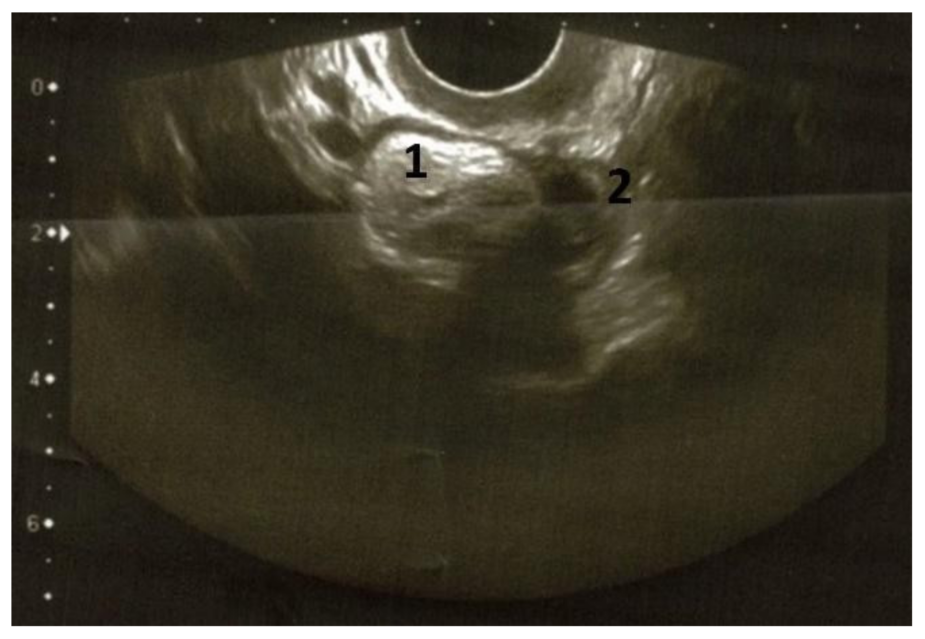 Diagnostics 12 01411 g003