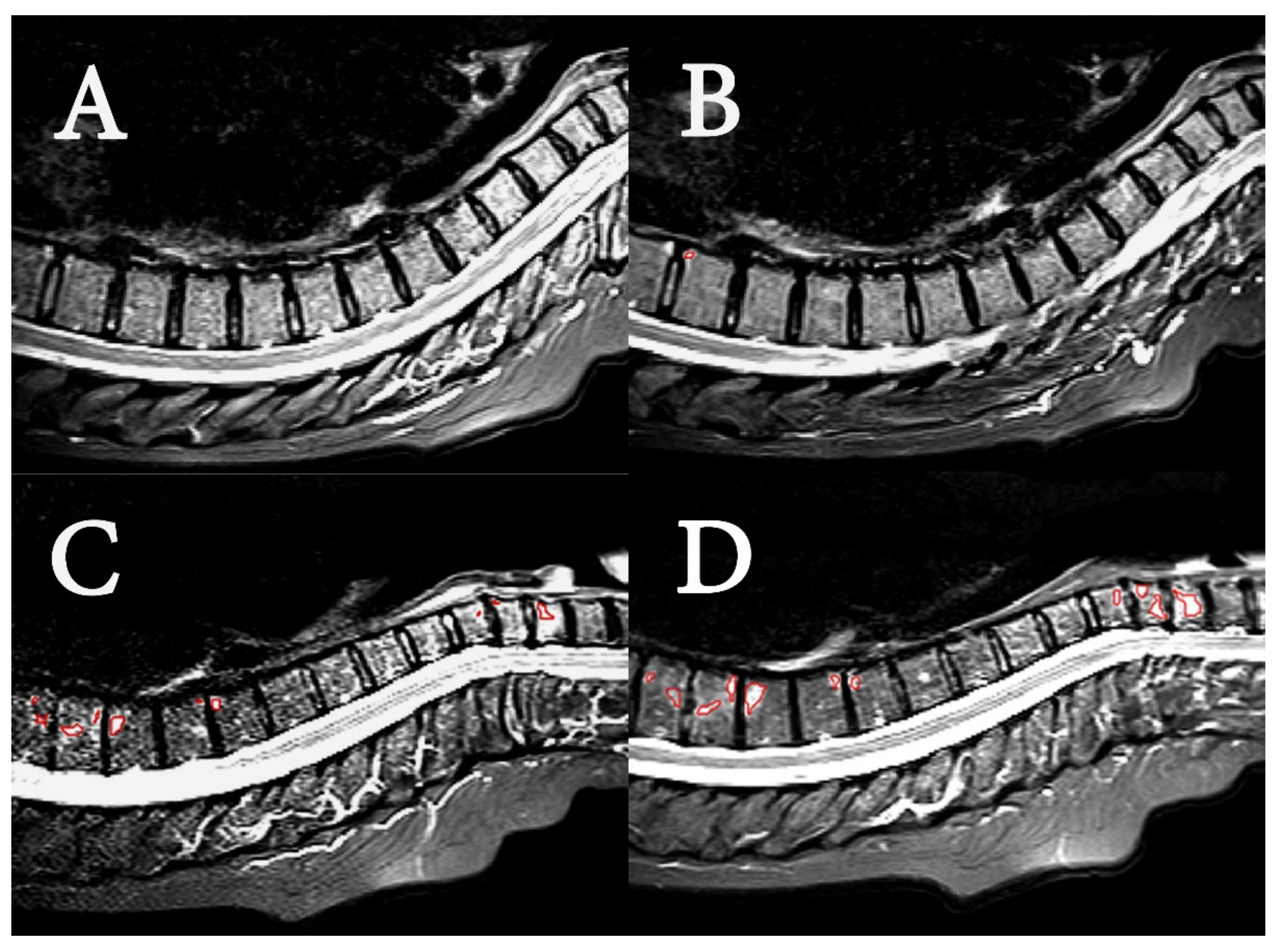 Diagnostics 12 01420 g002